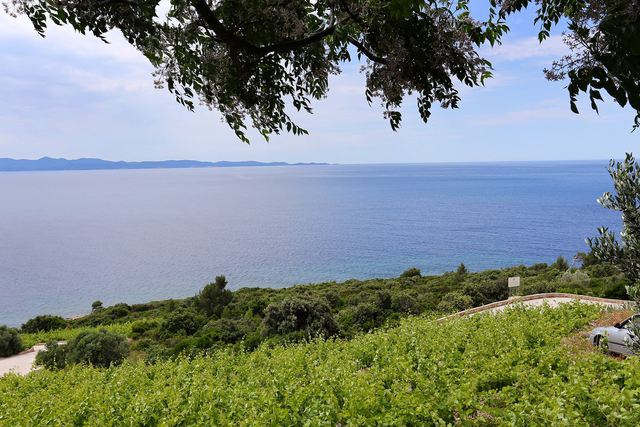 One bedroom house with terrace and sea view Dingač - Pristranj, Pelješac  K