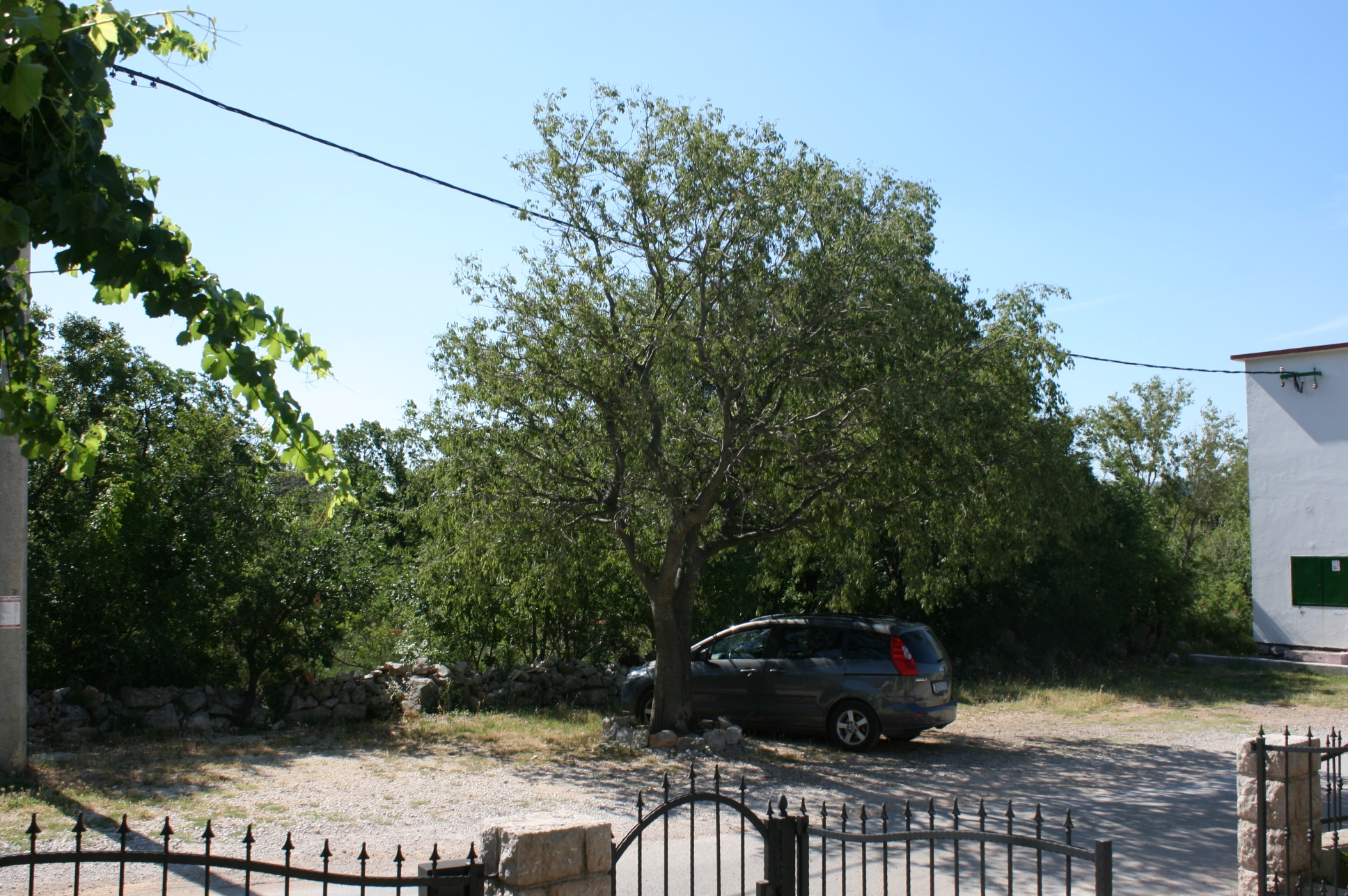 Three bedroom apartment with terrace Starigrad, Paklenica  A-a