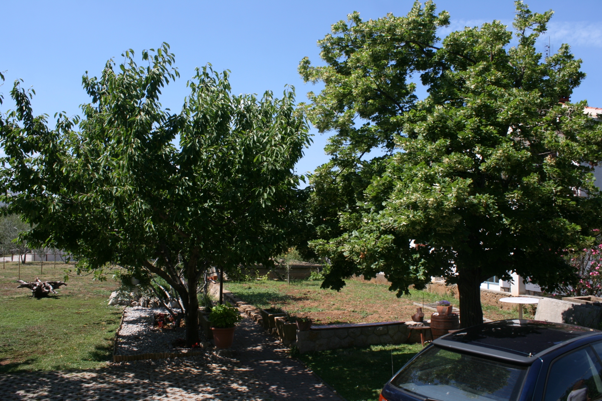 Three bedroom apartment with terrace Starigrad, Paklenica  A-a