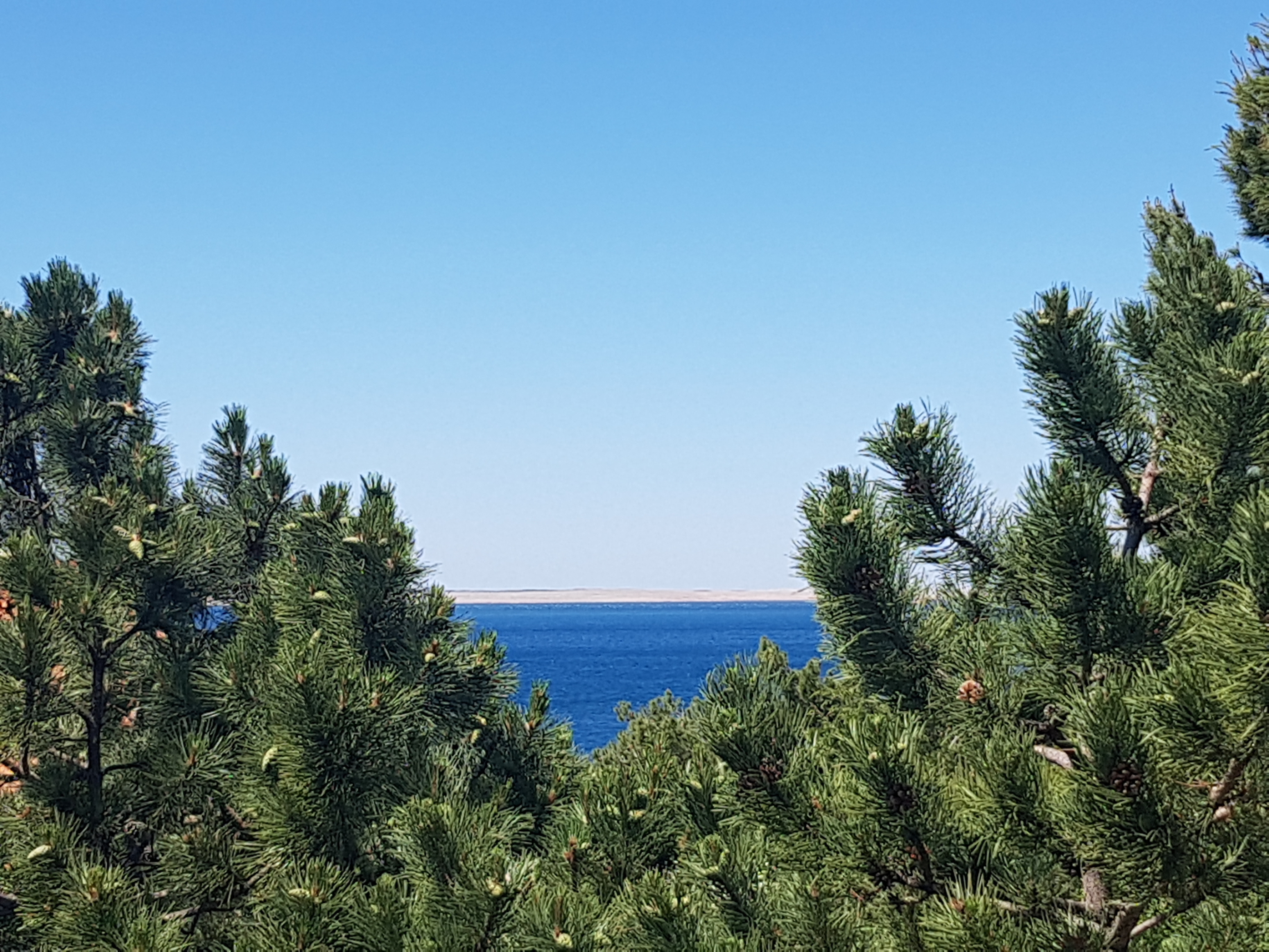 Studio flat near beach Starigrad, Paklenica  AS-c