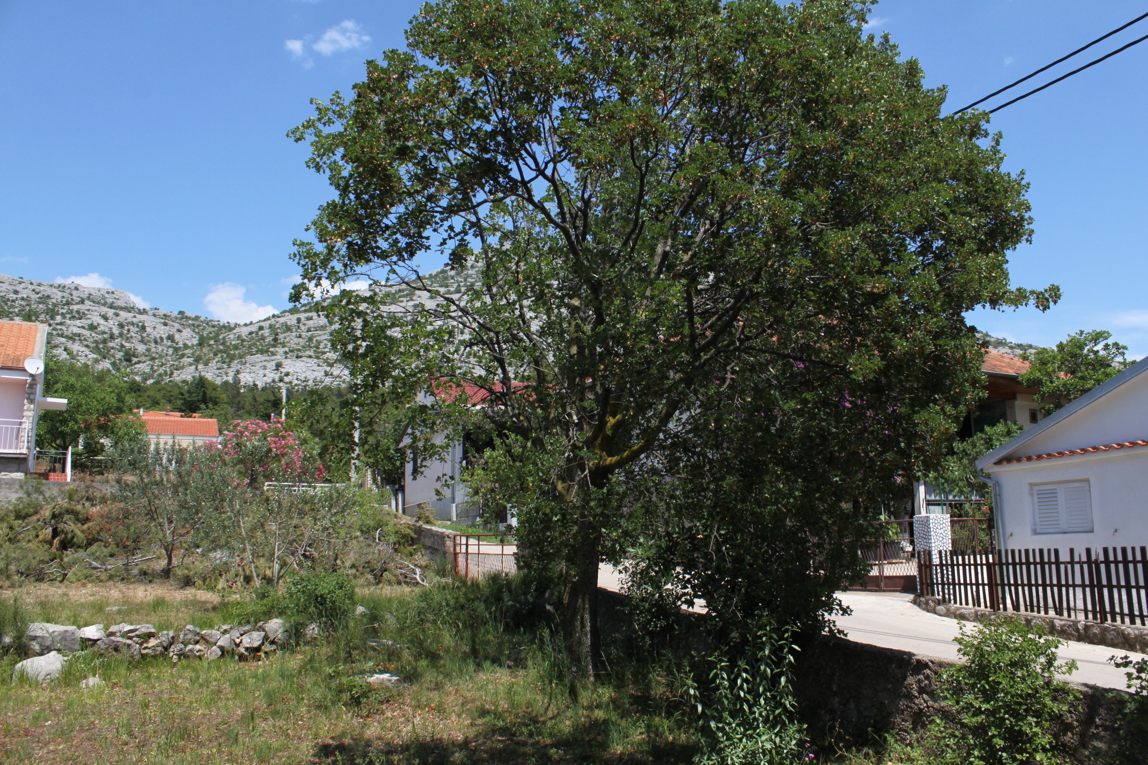 Two bedroom apartment with balcony Starigrad, Paklenica  A-c