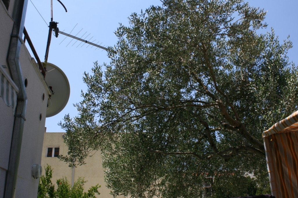 Top Makarska Top Makarska