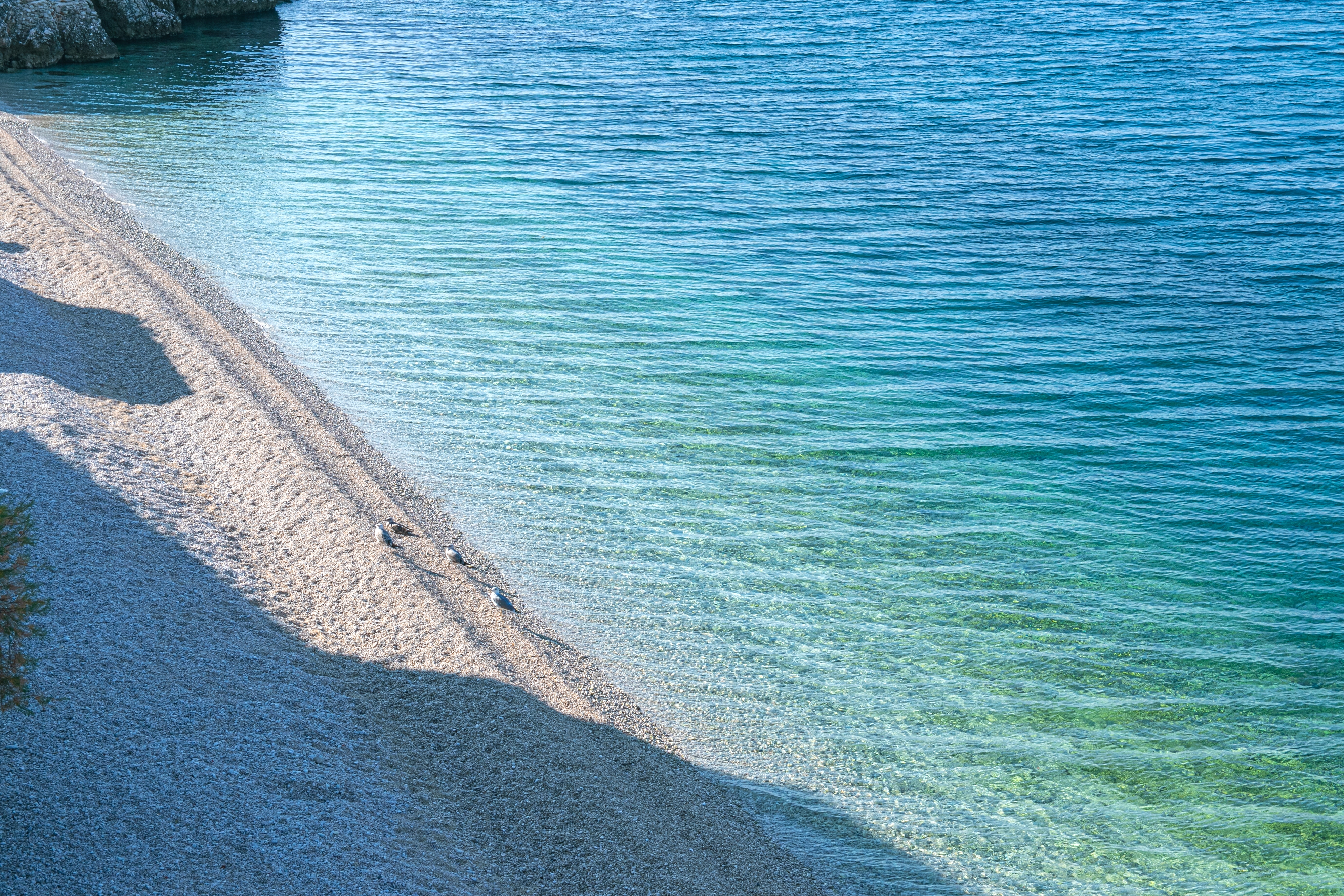 One bedroom apartment near beach Drašnice, Makarska  A-a