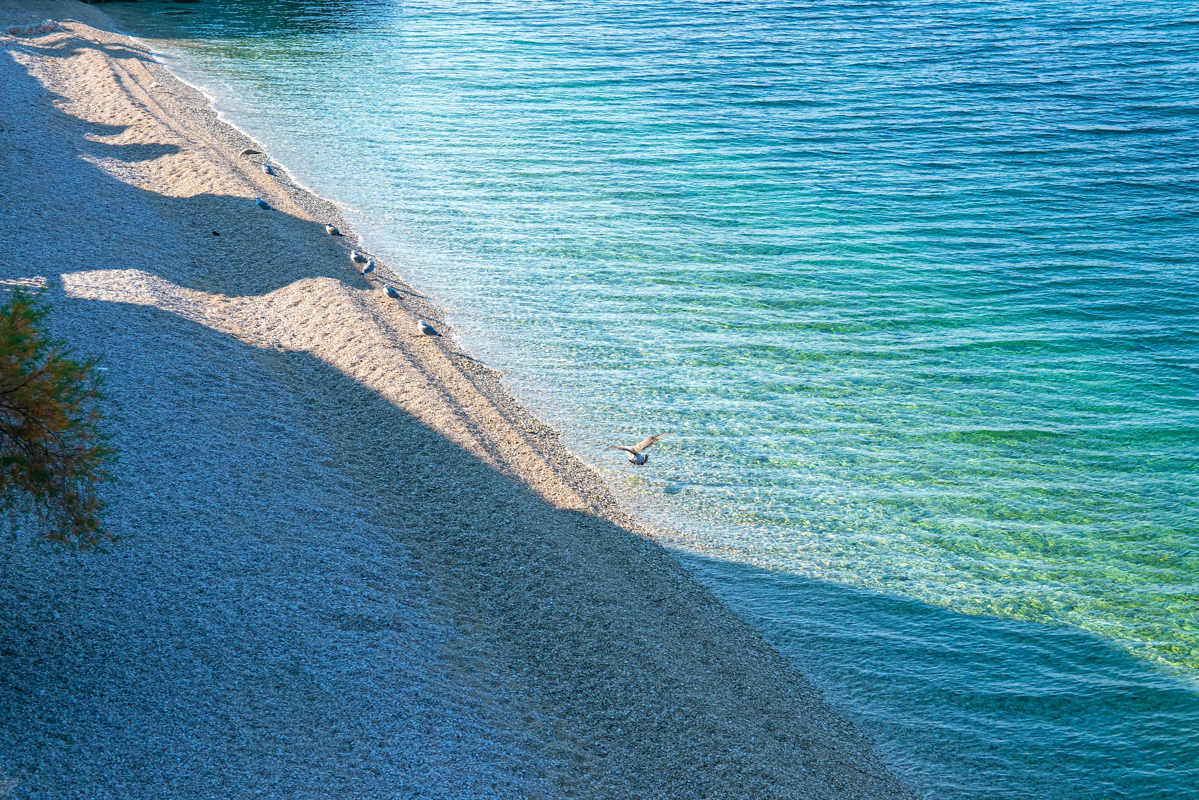 One bedroom apartment near beach Drašnice, Makarska  A-b