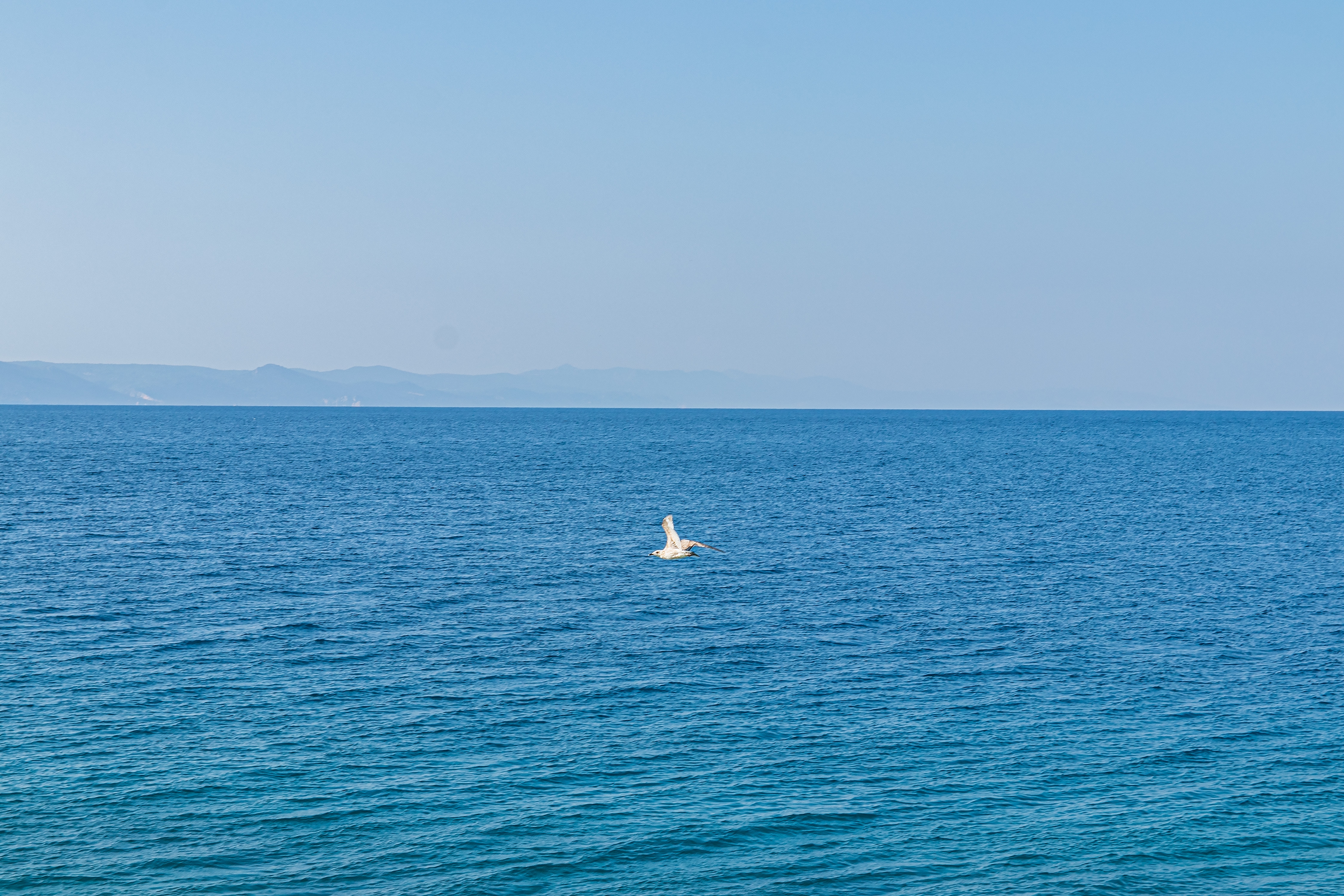 Two bedroom apartment near beach Drašnice, Makarska  A-d
