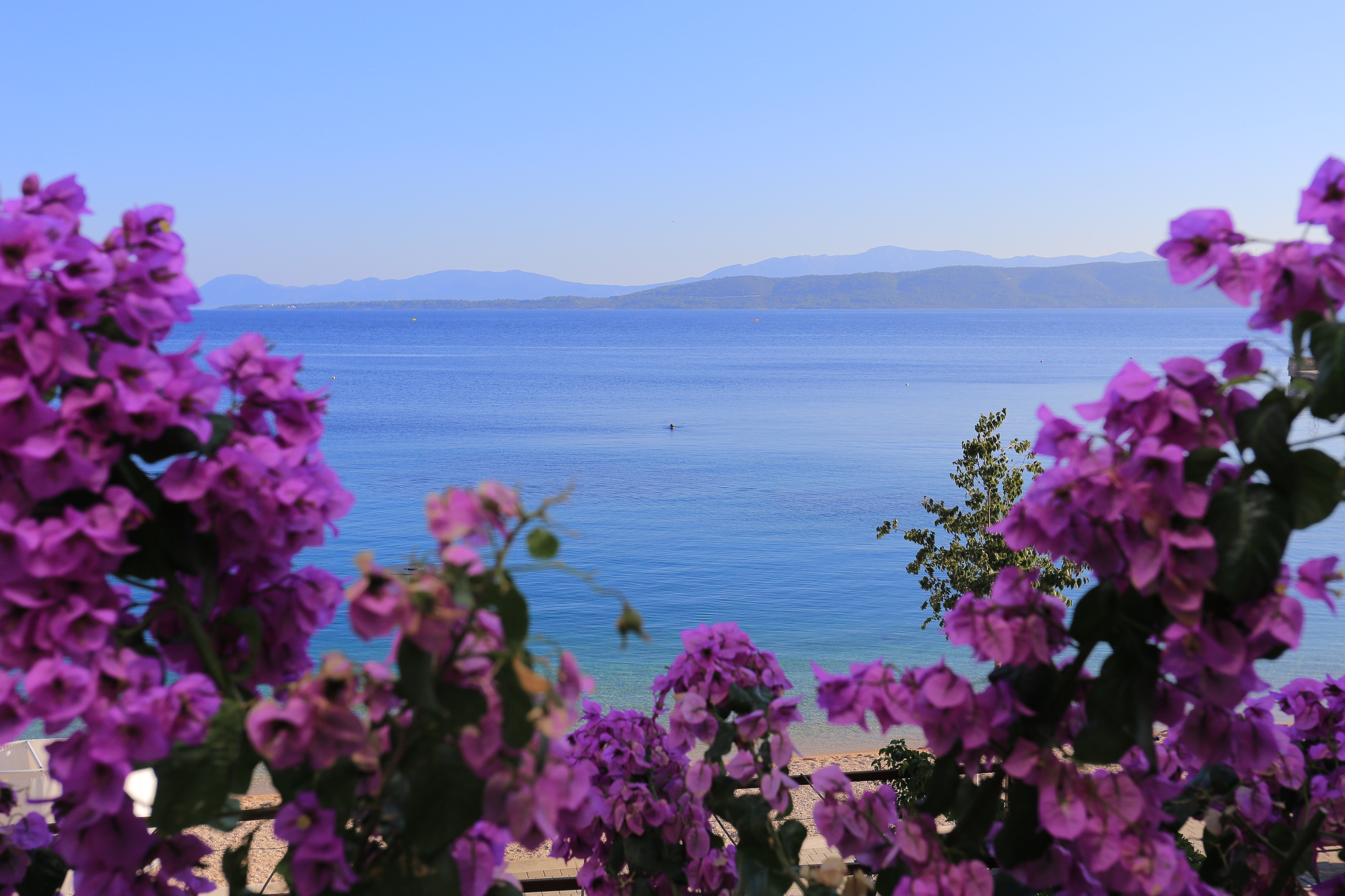 One bedroom apartment near beach Igrane, Makarska (A-6653-c) One bedroom apartment near beach Igrane, Makarska (A-6653-c)