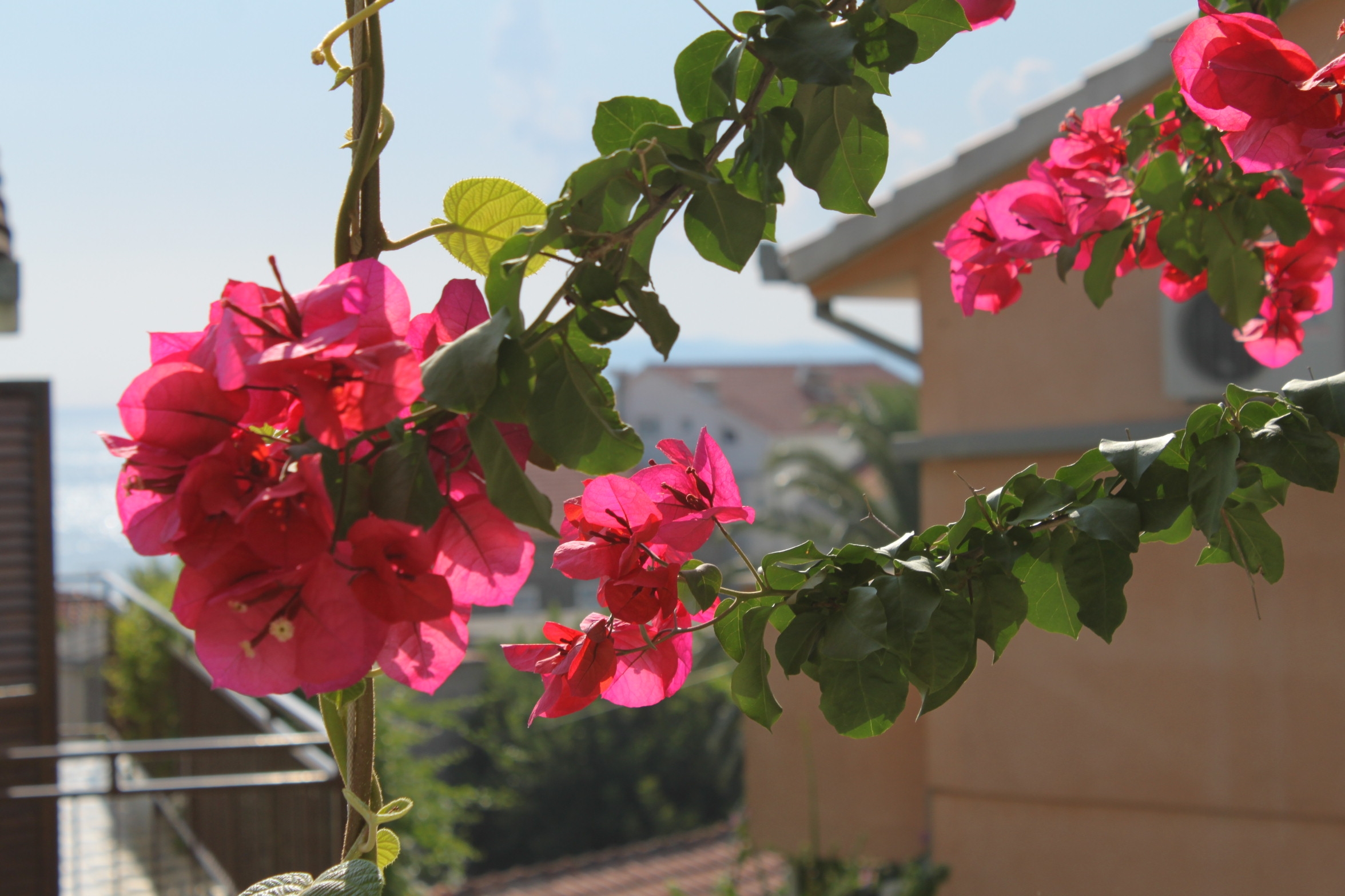 Two bedroom apartment with terrace and sea view Podgora, Makarska  A-a