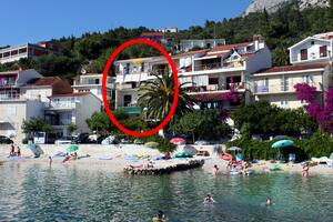 Appartements près de la mer Podgora, Makarska - 6670