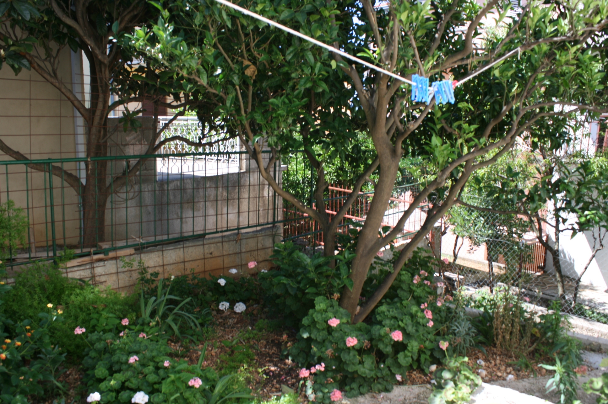 Top Makarska Podgora Top Makarska Podgora