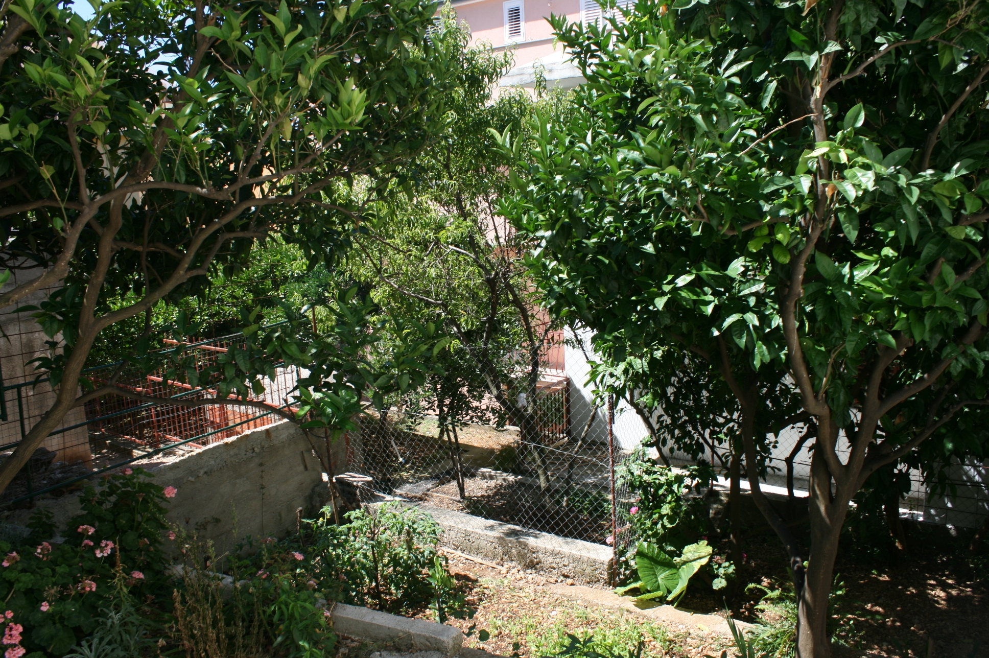 Top Makarska Podgora Top Makarska Podgora