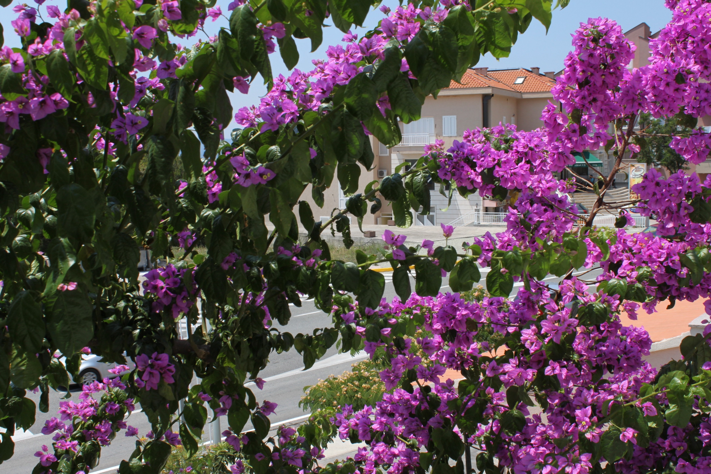 Top Makarska Top Makarska