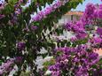 Makarska, Balcony - view in the studio-apartment, (pet friendly) and WiFi.