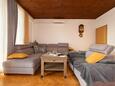 Tučepi, Living room in the apartment, air condition available, (pet friendly) and WiFi.