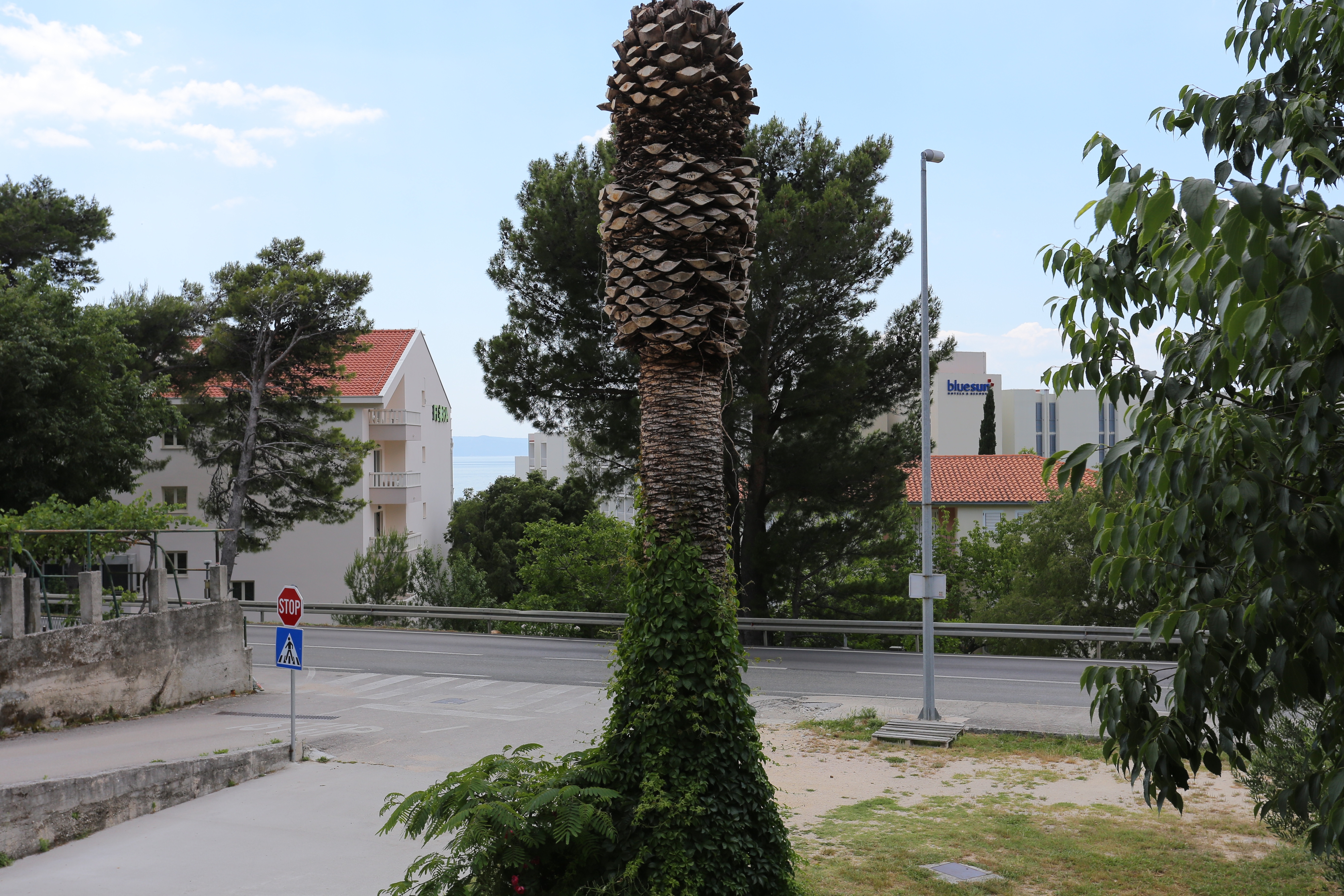 Top Makarska Tučepi Top Makarska Tučepi