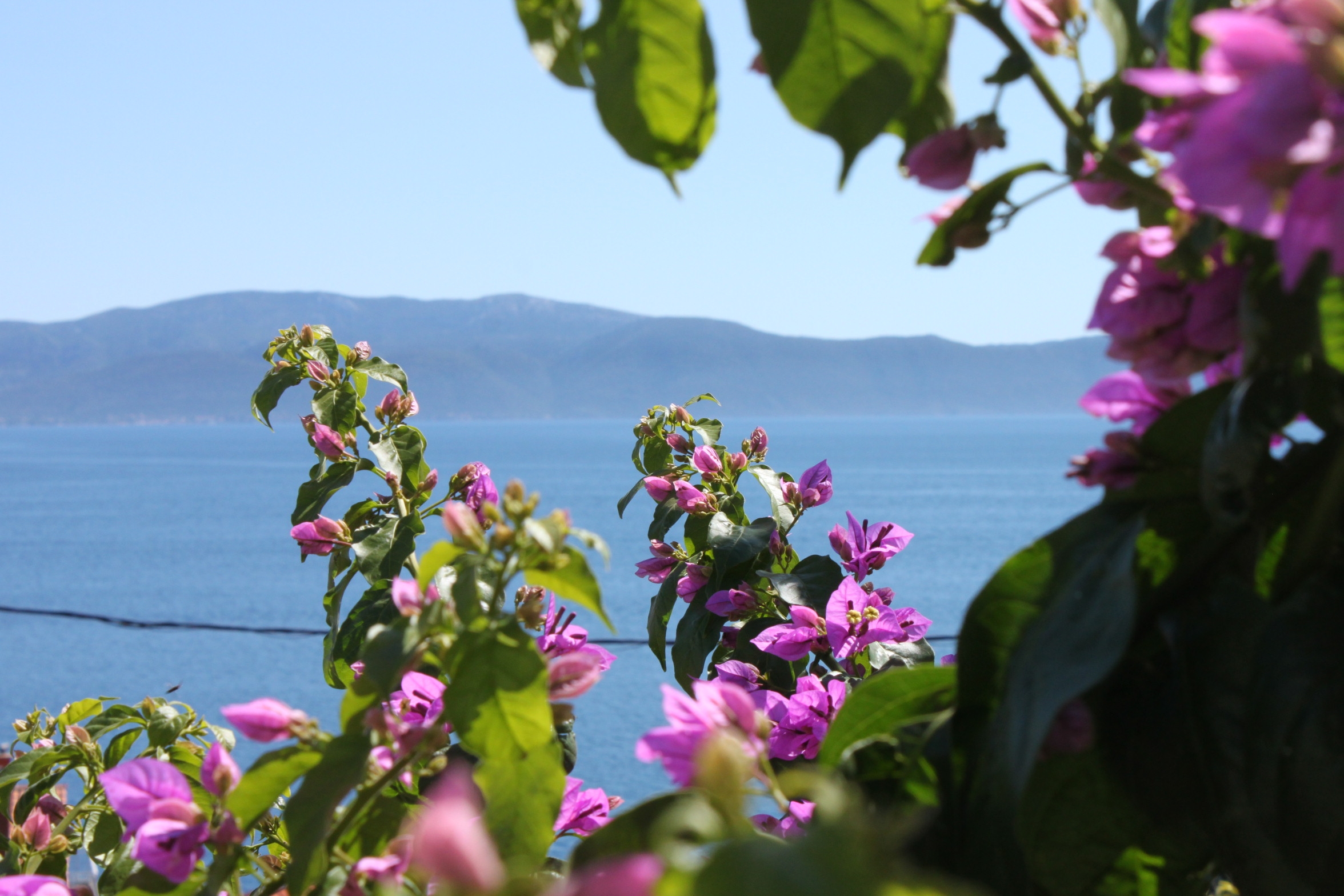 Studio flat with balcony and sea view Podaca, Makarska  AS-a