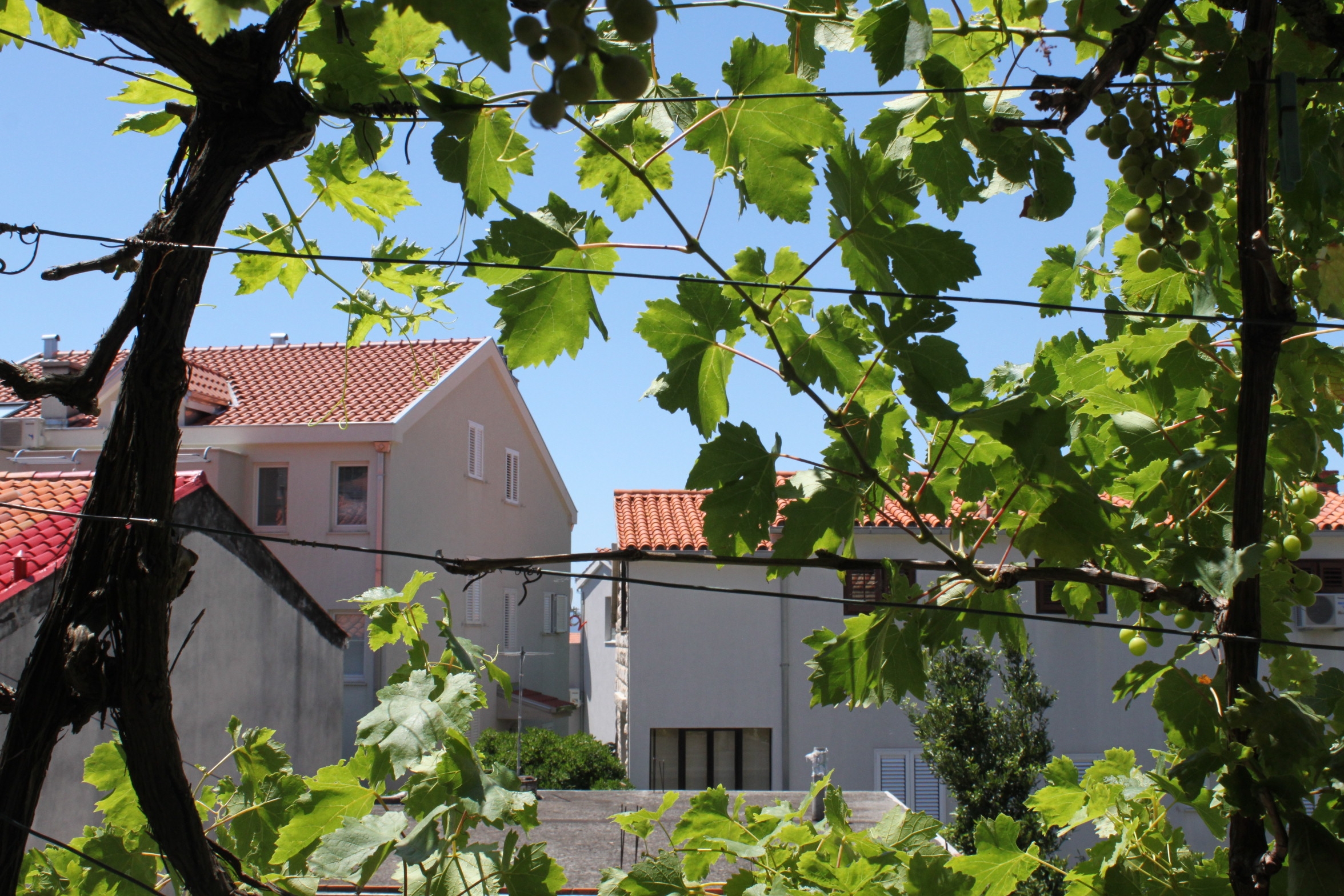 Room with terrace Baška Voda, Makarska (S-6748-a) Room with terrace Baška Voda, Makarska (S-6748-a)