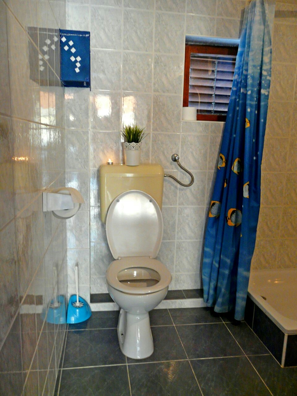 Top Makarska Drvenik Donja vala Top Makarska Drvenik Donja vala