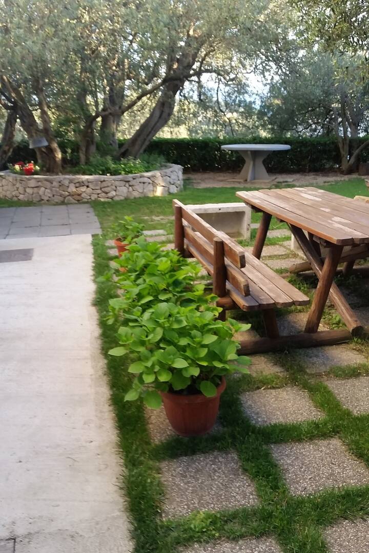 Top Makarska Top Makarska