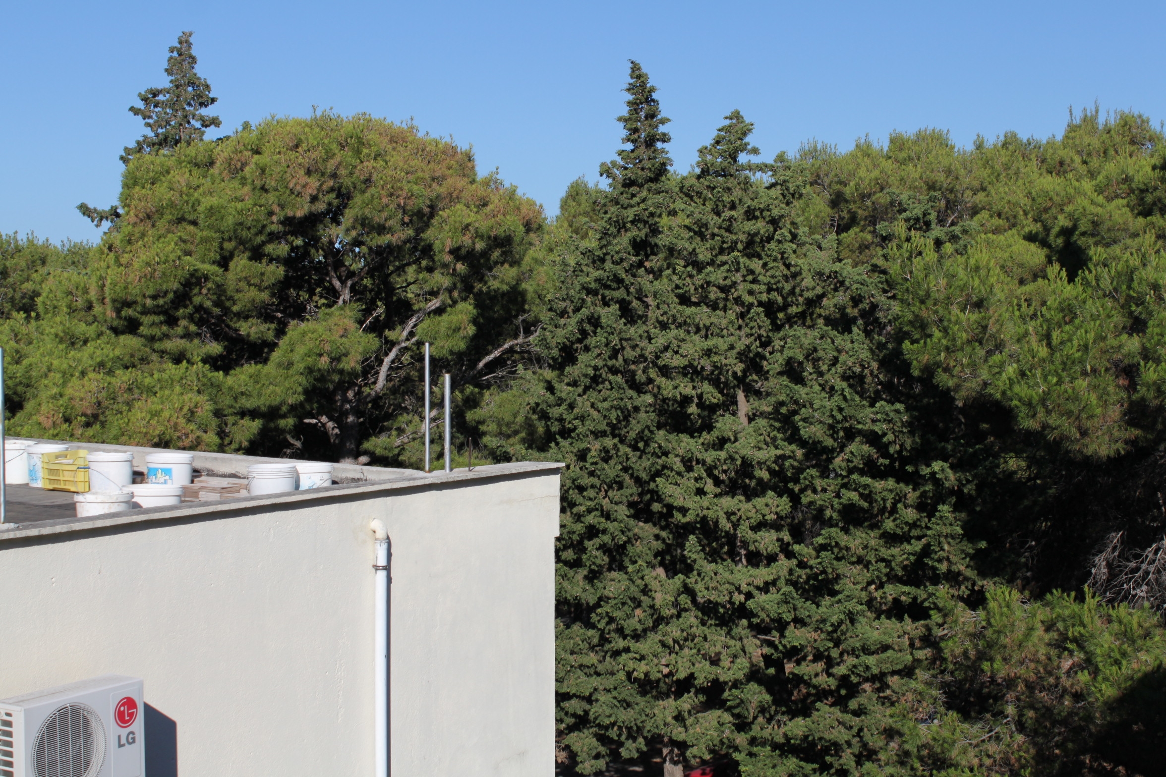 Top Makarska Top Makarska