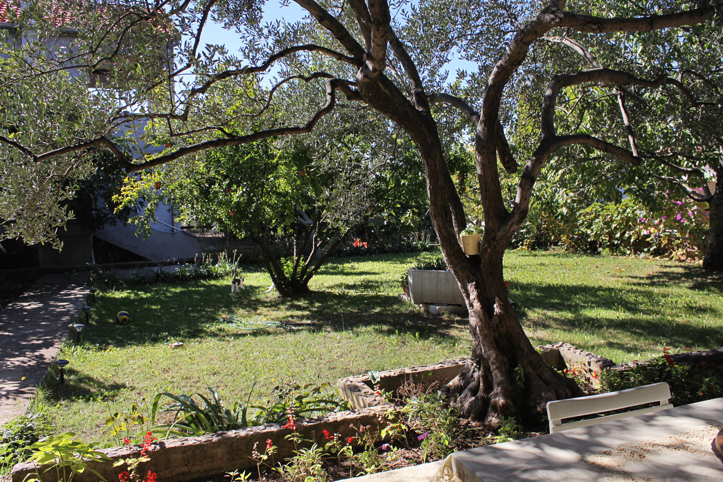 Top Zadar Kožino Top Zadar Kožino