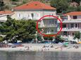 Apartmaji Podgora (Makarska) - 6780