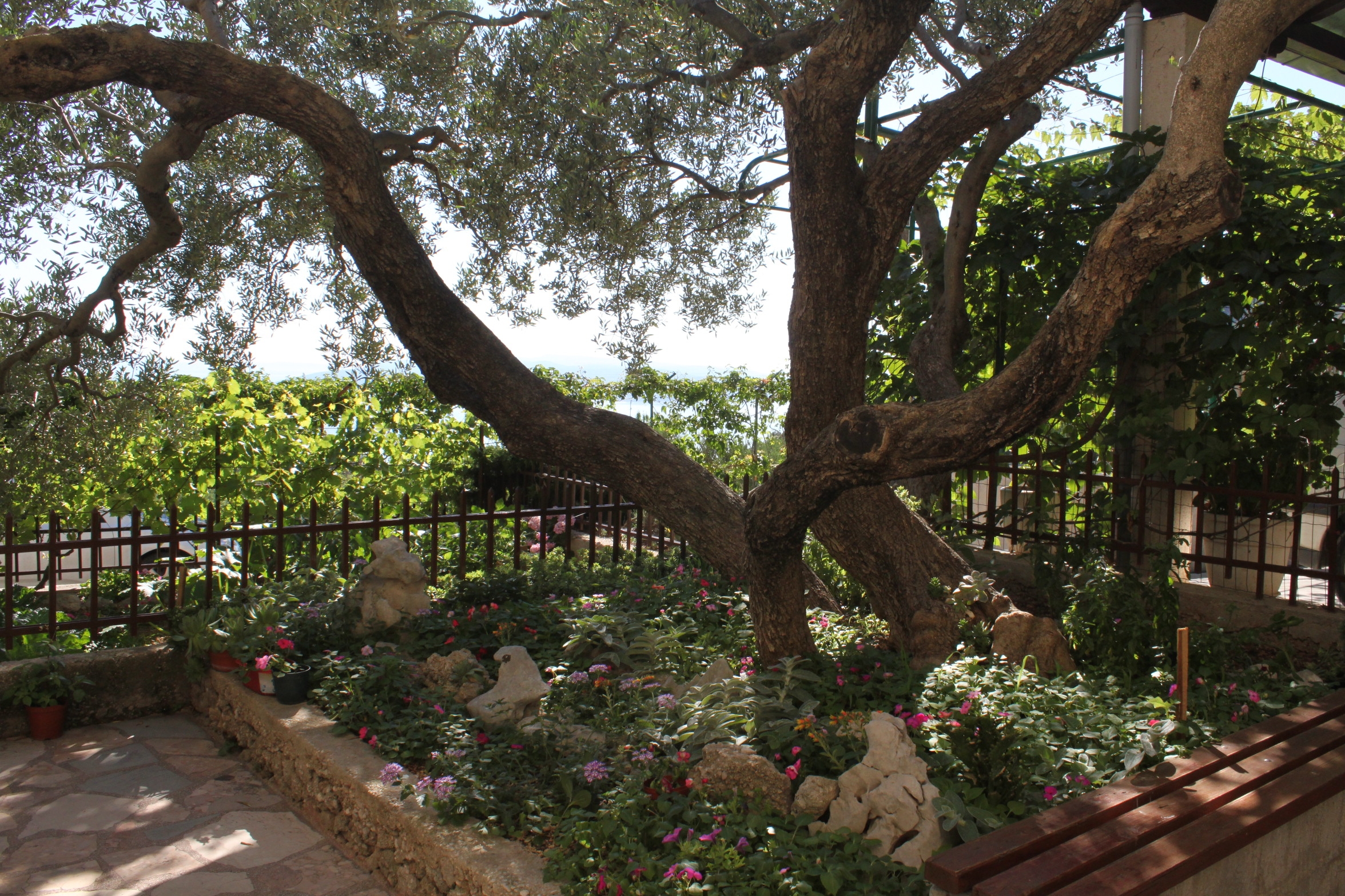 One bedroom apartment with terrace and sea view Makarska  A-b