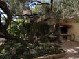 Makarska, Makarska, Courtyard 6792 - Apartments with pebble beach.