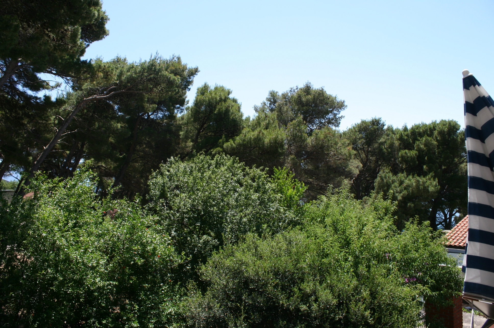 Three bedroom apartment with terrace and sea view Zaostrog, Makarska  A-a