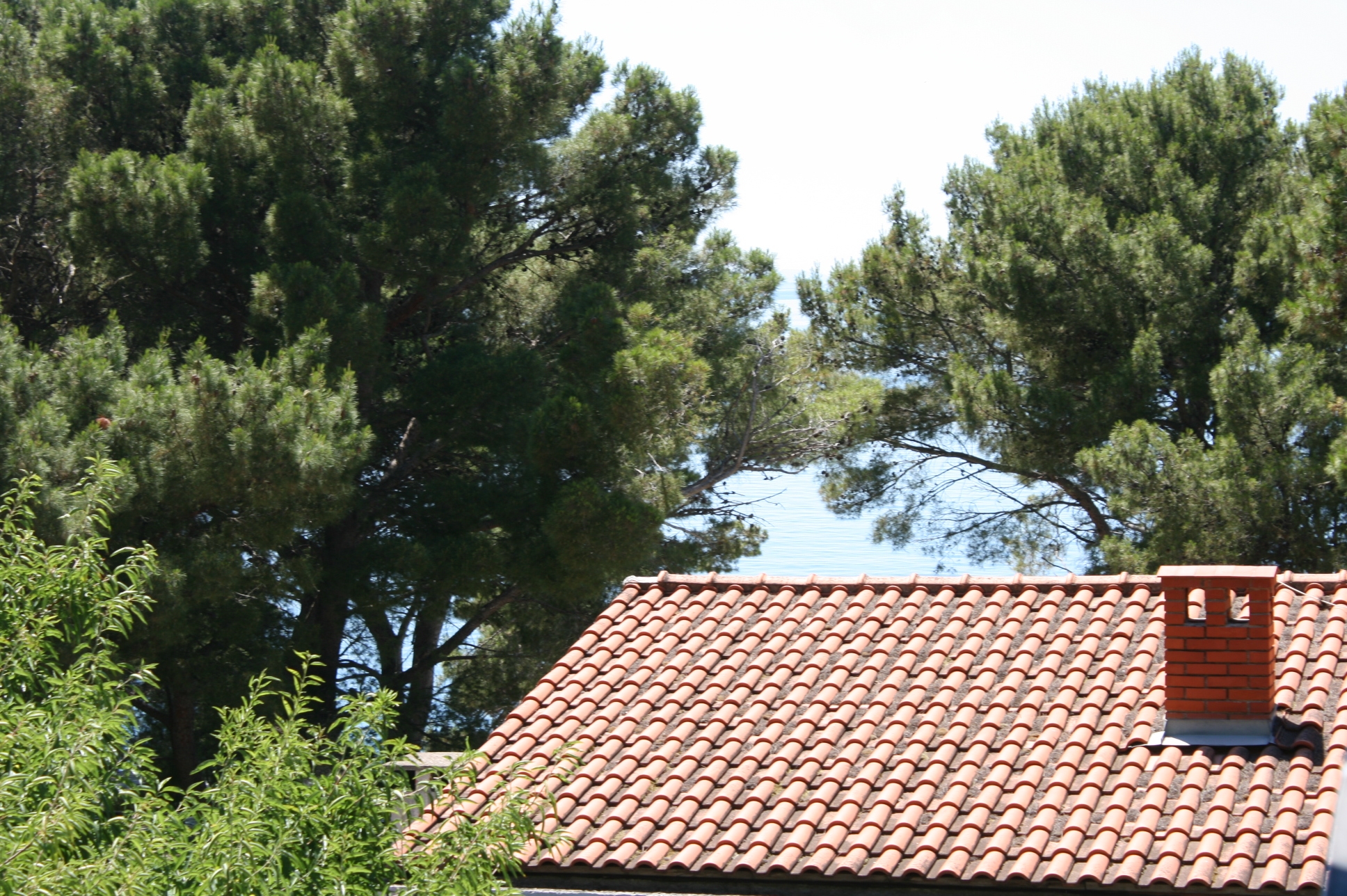Three bedroom apartment with terrace and sea view Zaostrog, Makarska  A-a