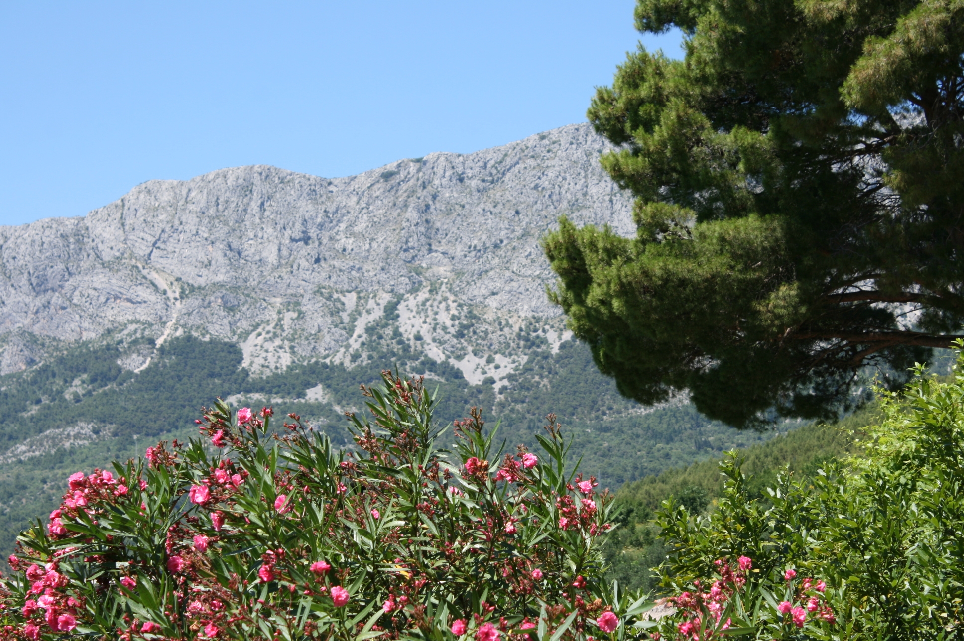 Three bedroom apartment with terrace and sea view Zaostrog, Makarska  A-a