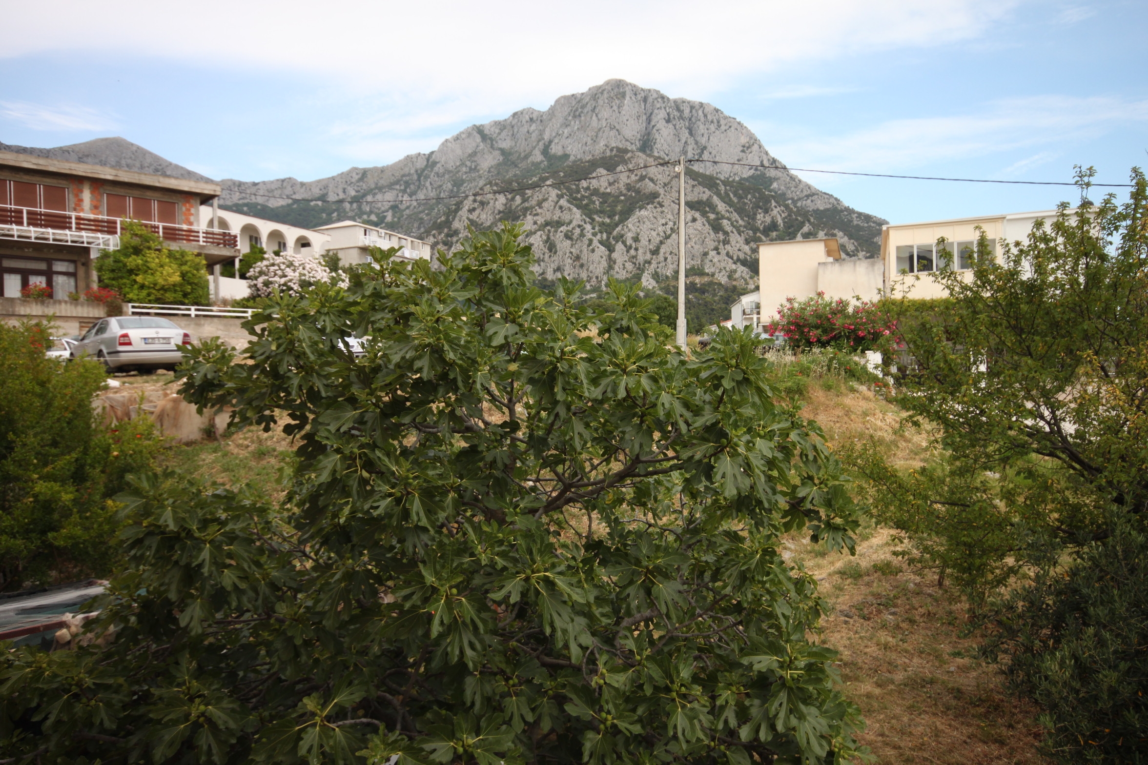 Top Makarska Gradac Top Makarska Gradac