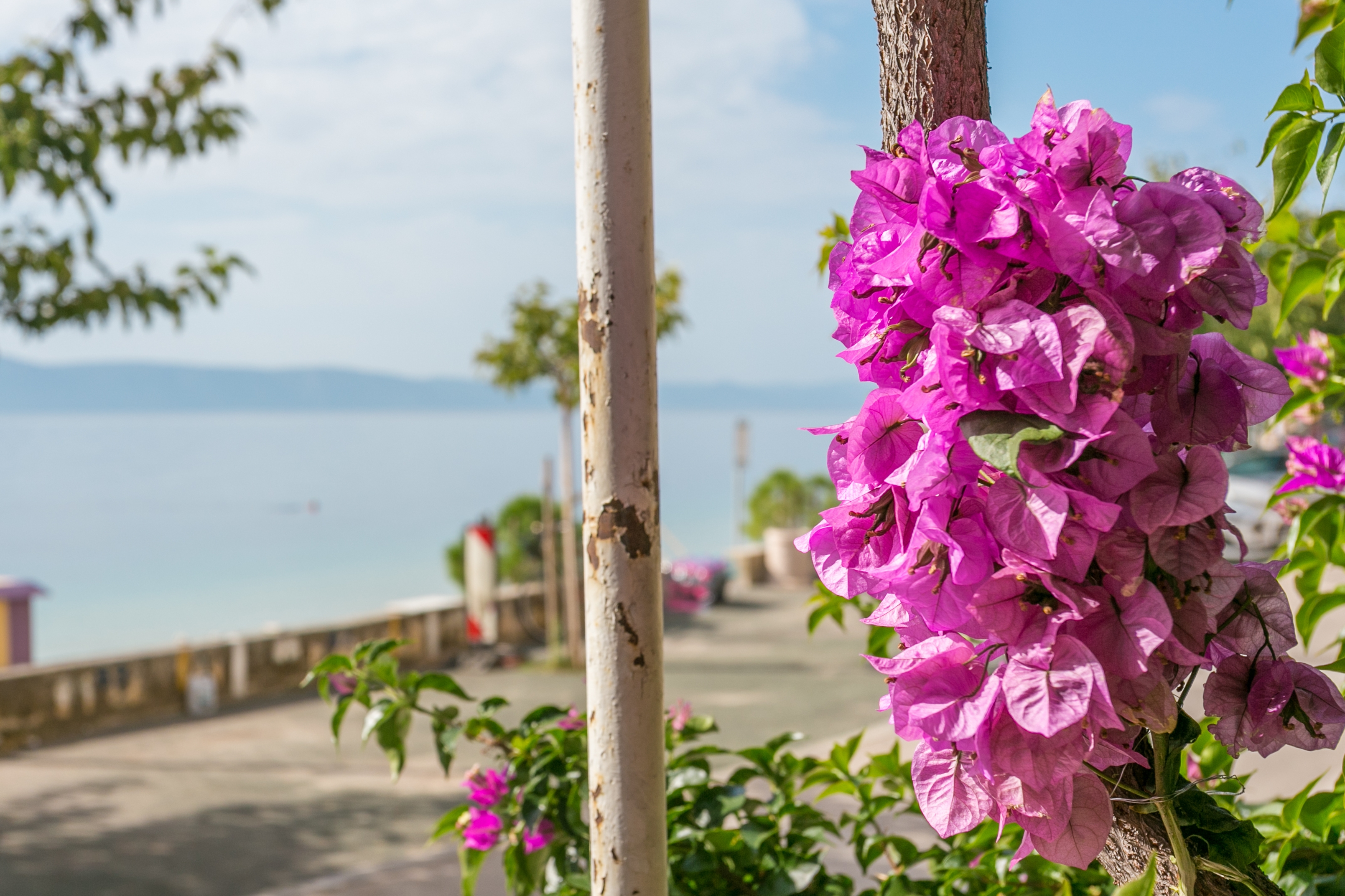 One bedroom apartment near beach Podgora, Makarska  A-a