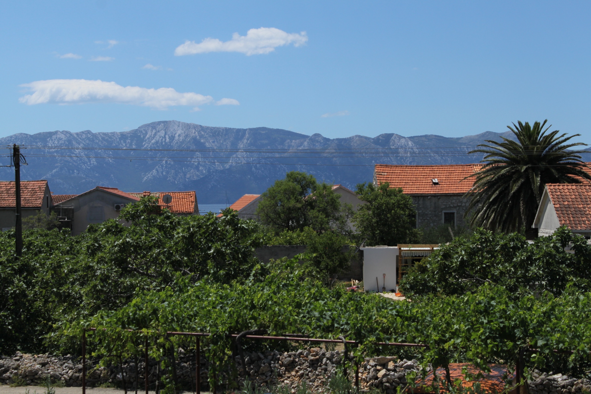 Studio flat with balcony Sućuraj, Hvar  AS-c