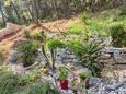 Vela Stiniva, Hvar, Courtyard 6864 - Apartments near sea with pebble beach.