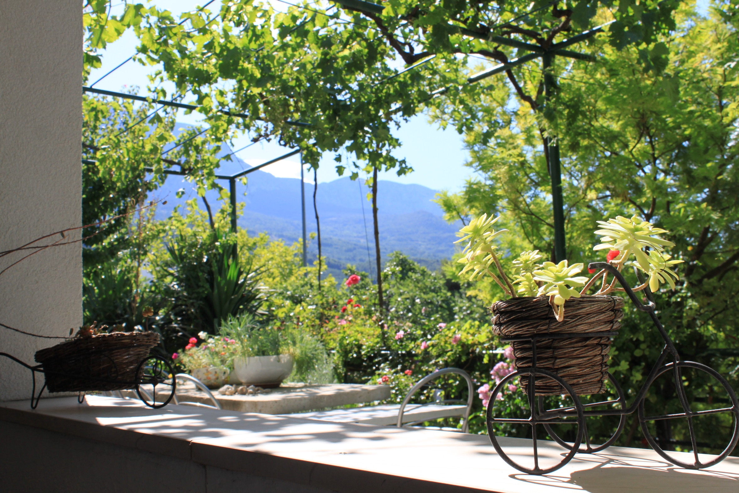 One bedroom apartment with terrace and sea view Tučepi, Makarska  A-a
