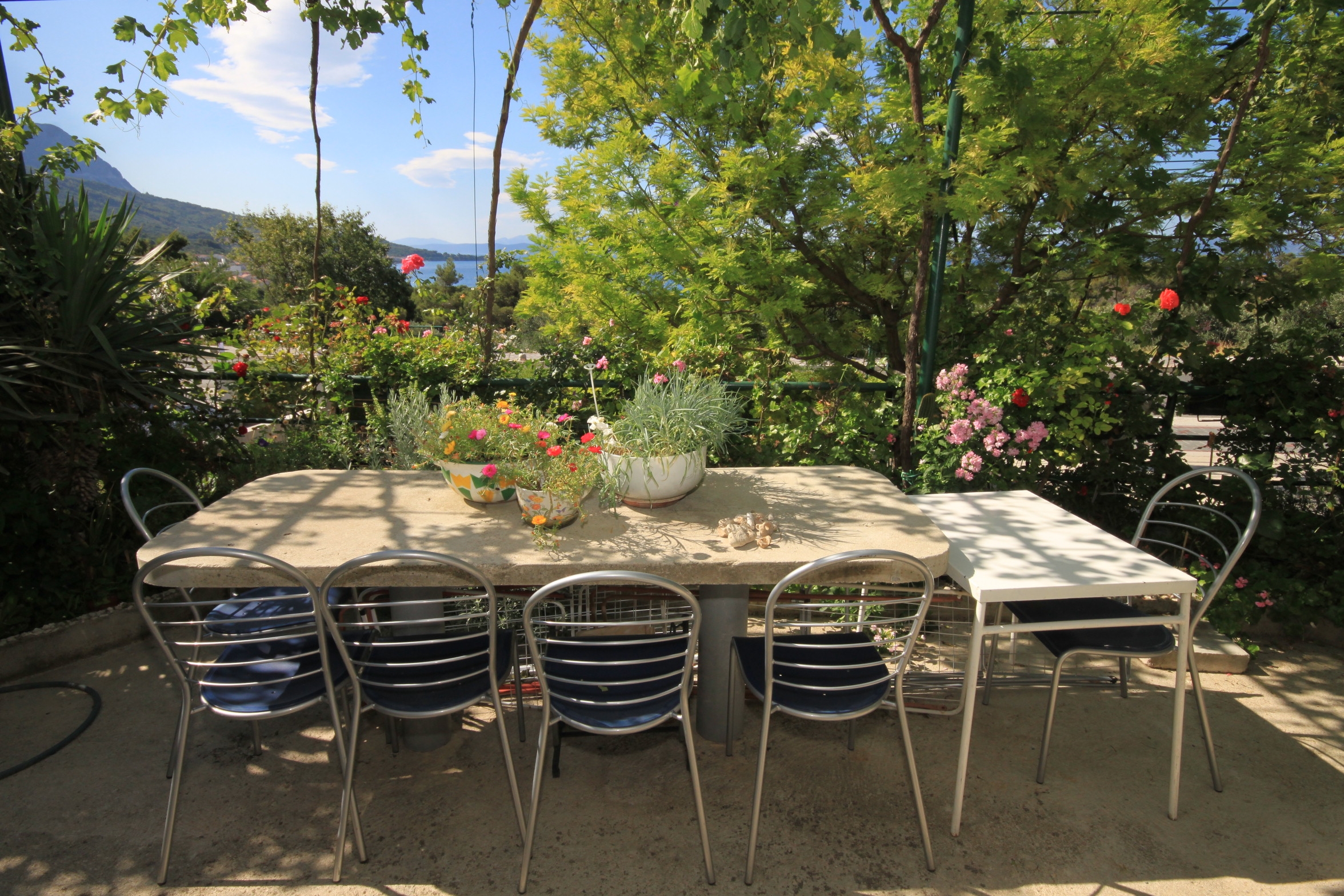 Studio flat with balcony and sea view Tučepi, Makarska (AS-6901-a)