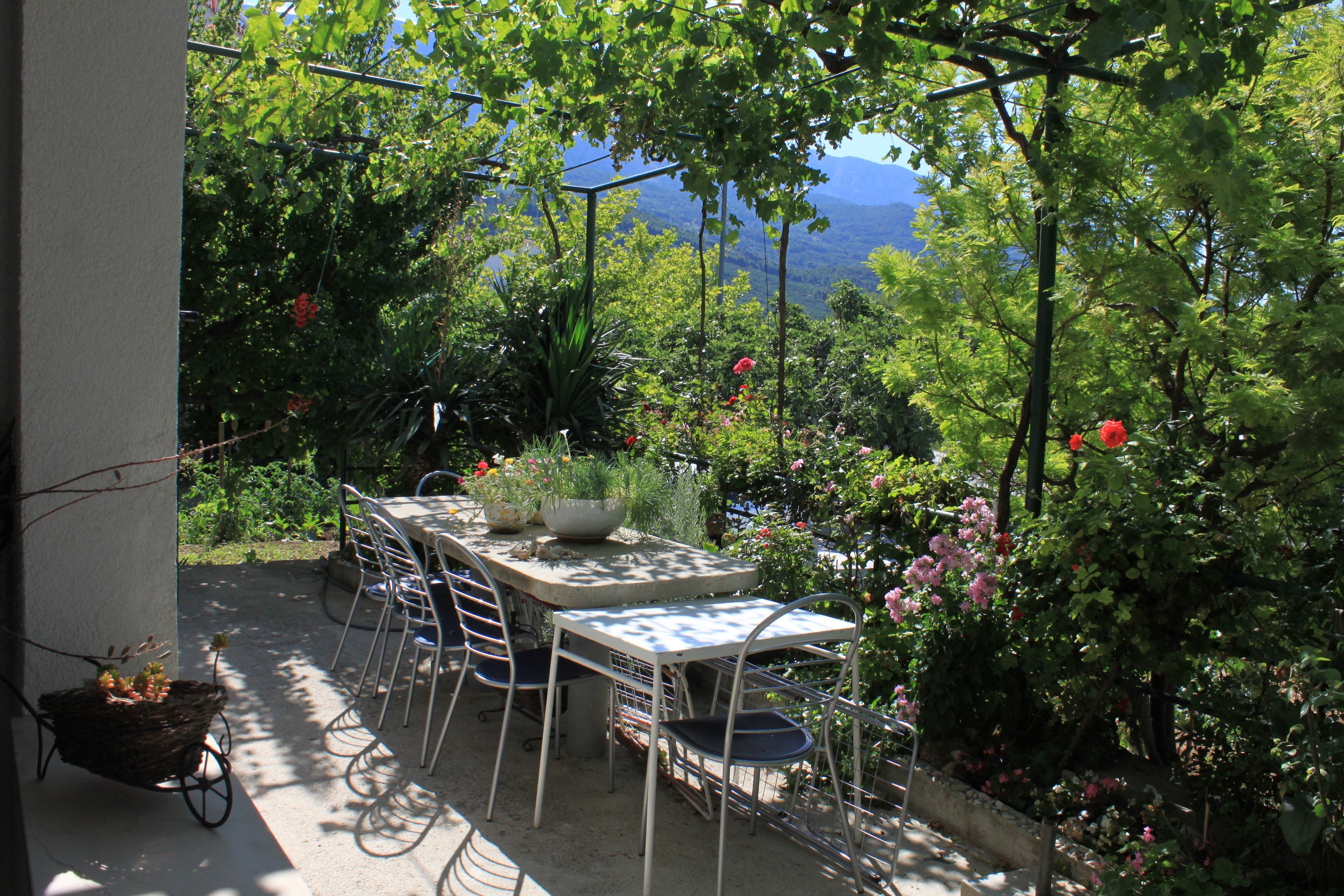 Studio flat with balcony and sea view Tučepi, Makarska (AS-6901-b)