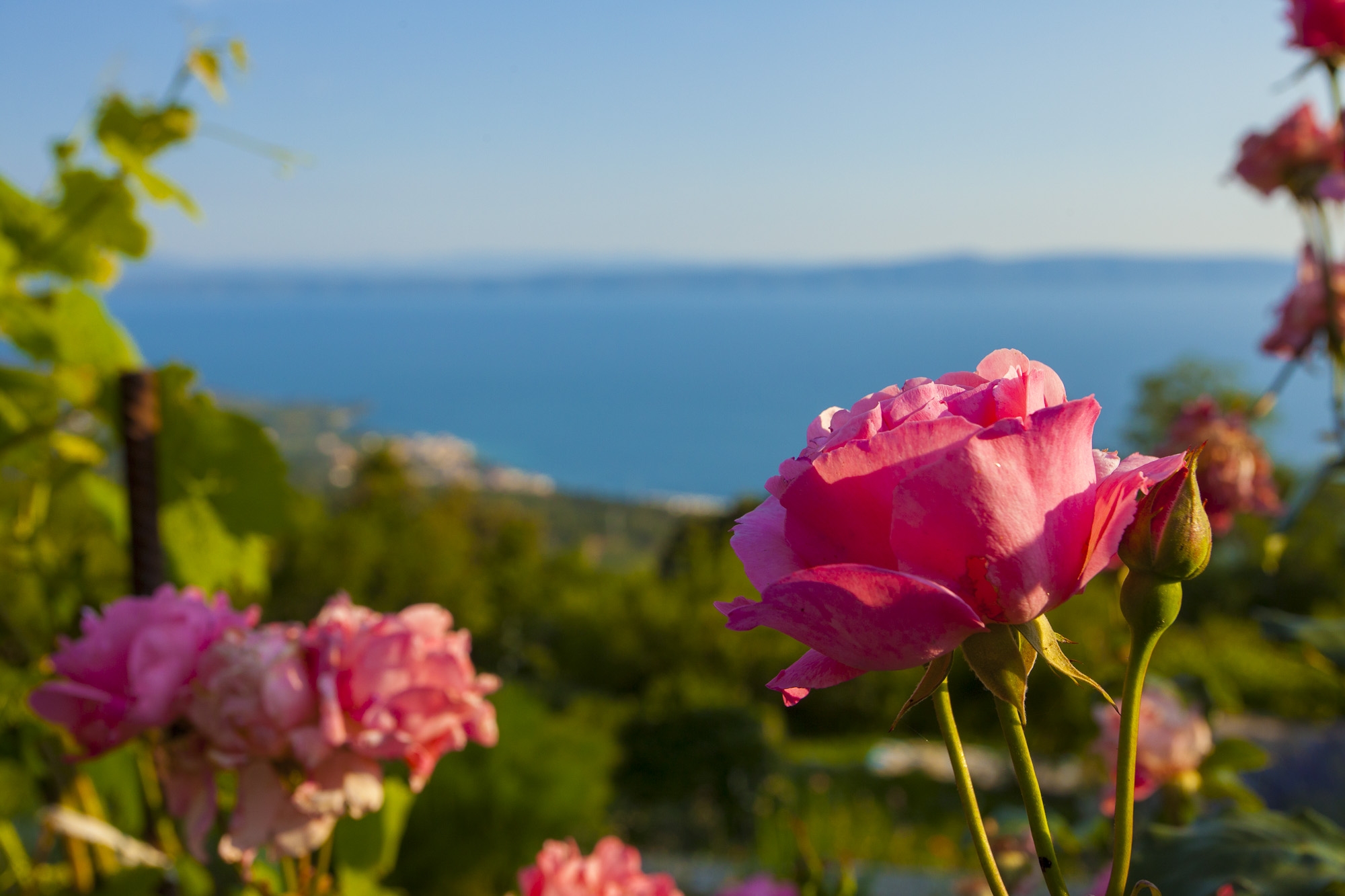 Two bedroom house with terrace and sea view Gornji Tučepi - Podpeć, Makarska  K