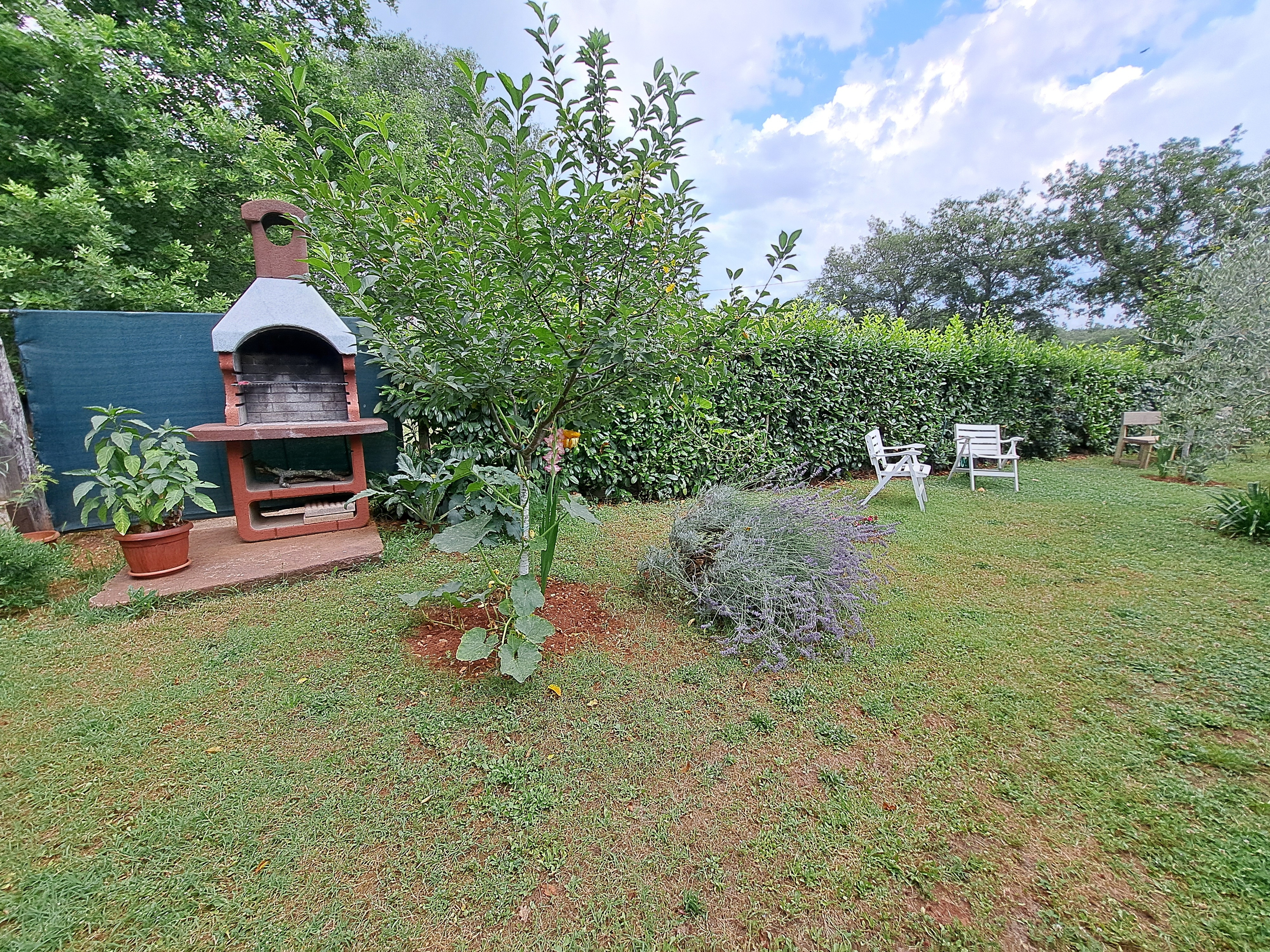 One bedroom apartment with terrace Fiorini, Novigrad  A-c