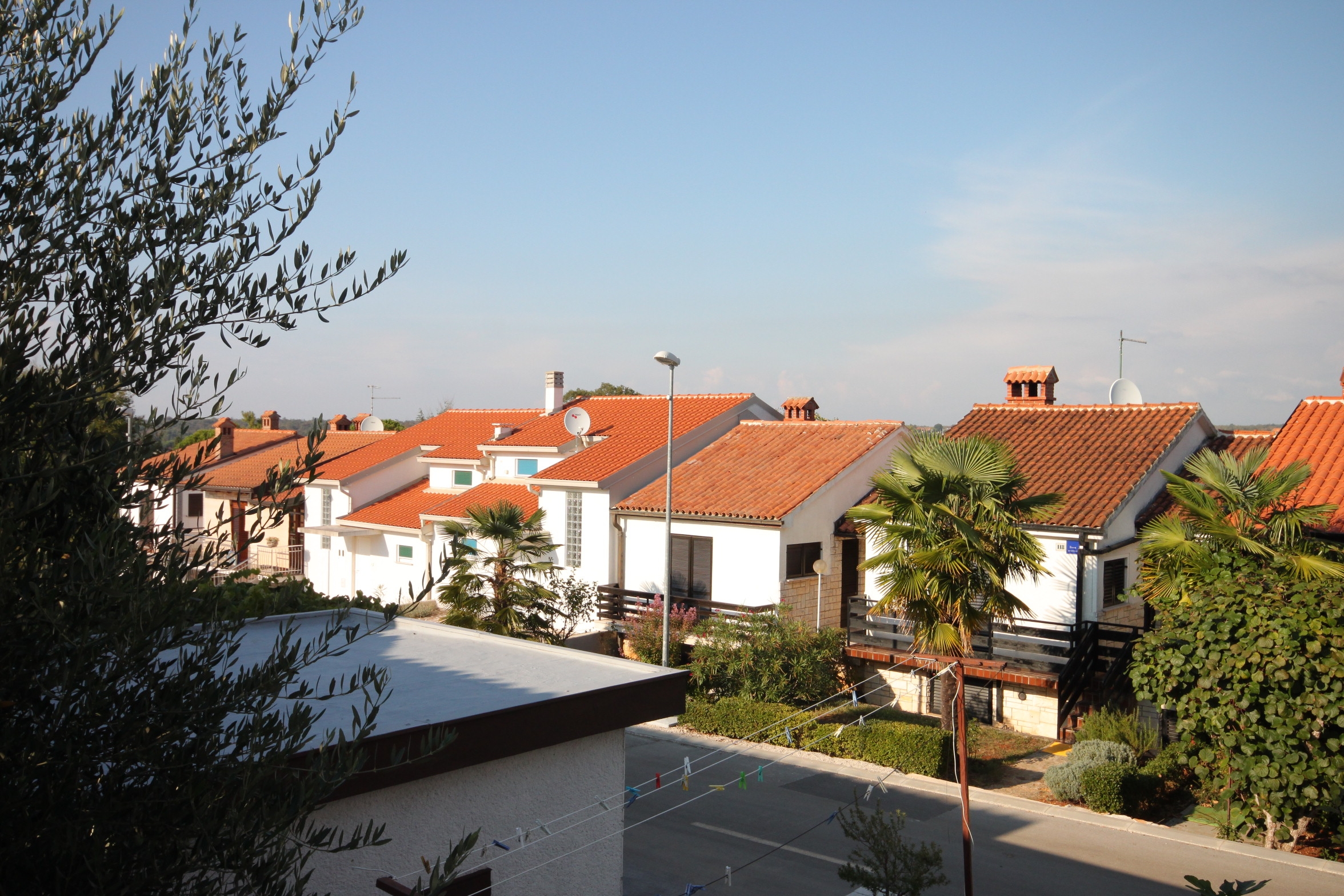 Top Novigrad Dajla Top Novigrad Dajla