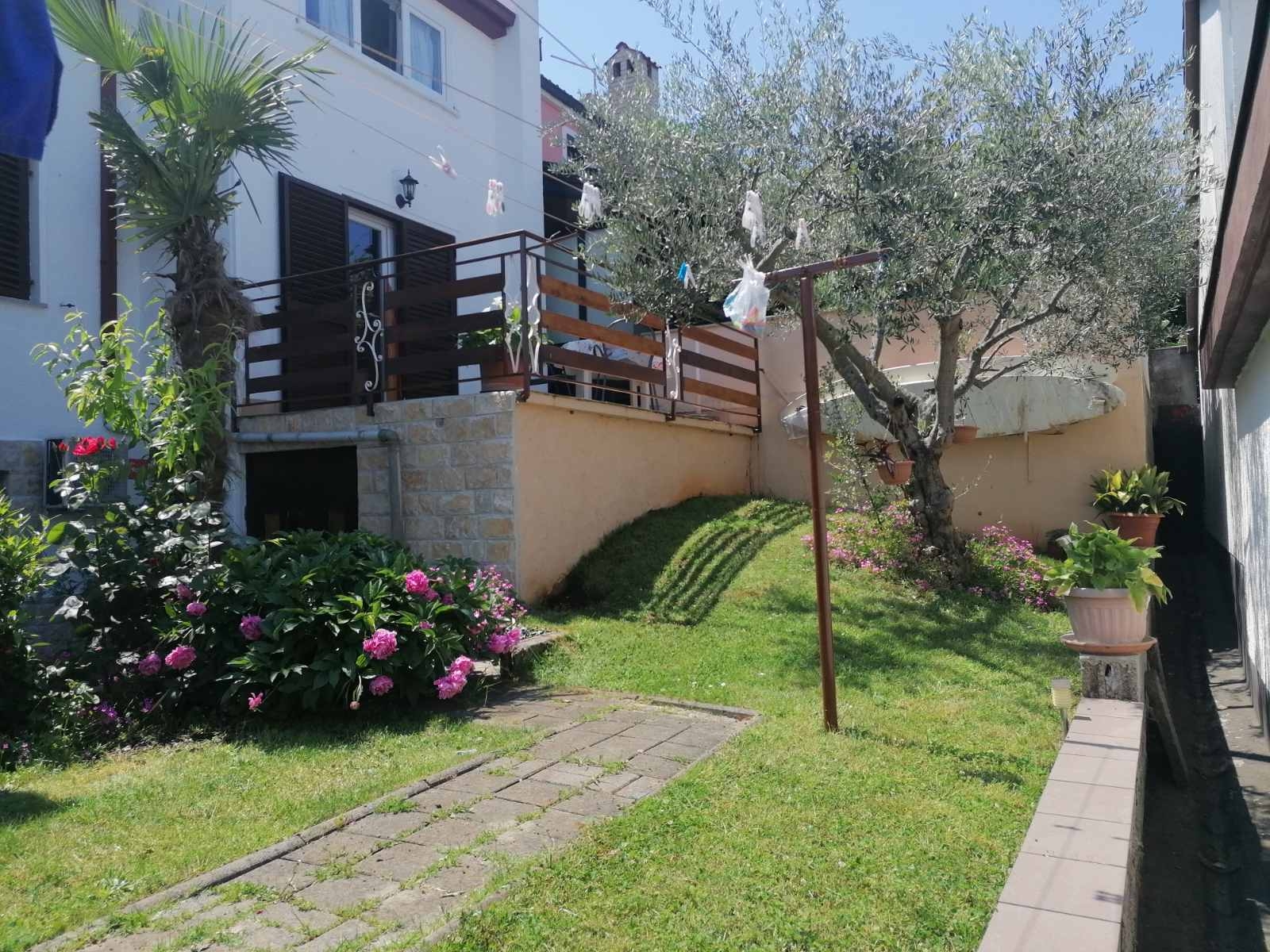 Top Novigrad Dajla Top Novigrad Dajla