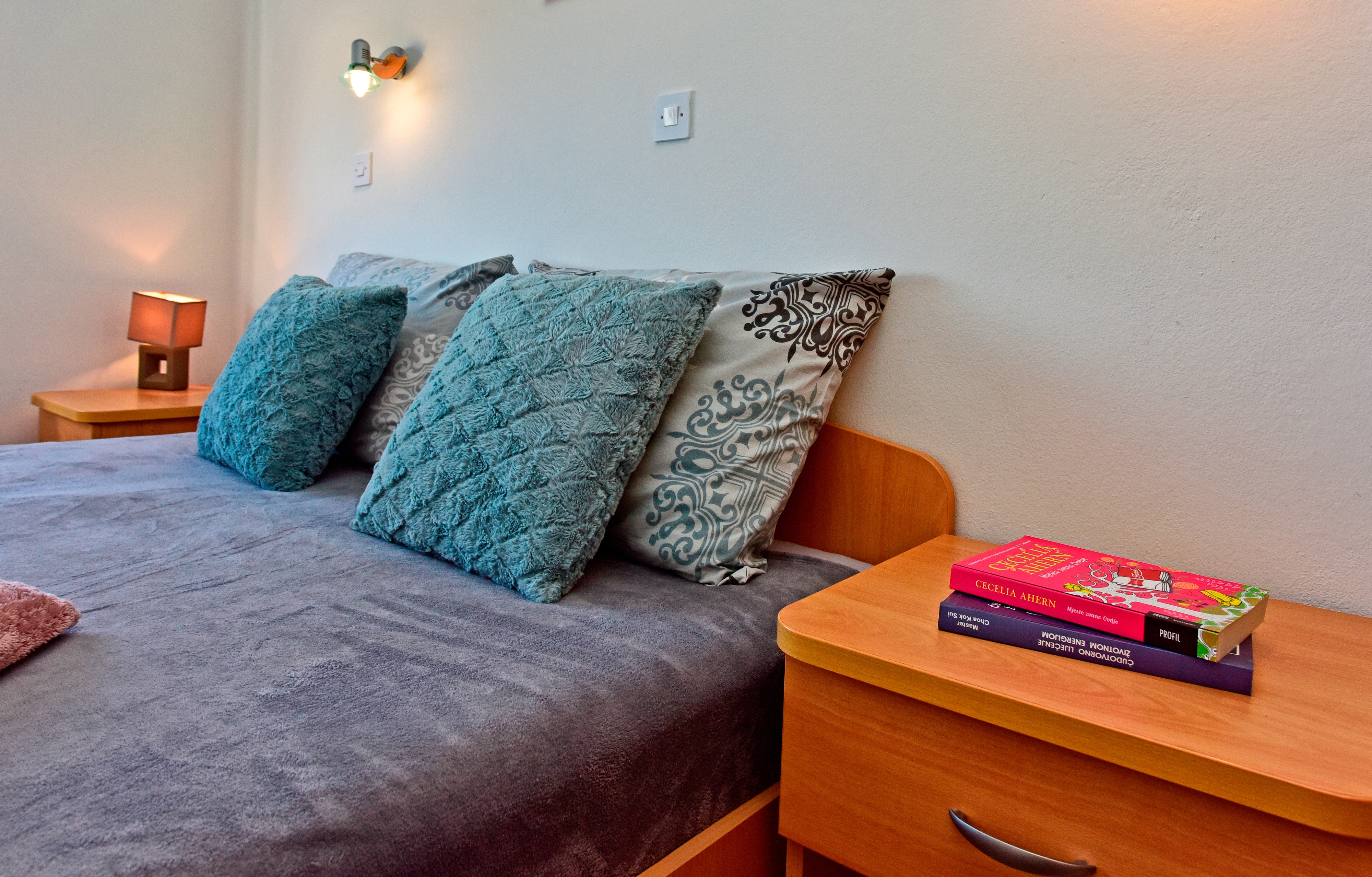 One bedroom apartment with terrace Novigrad  A-a
