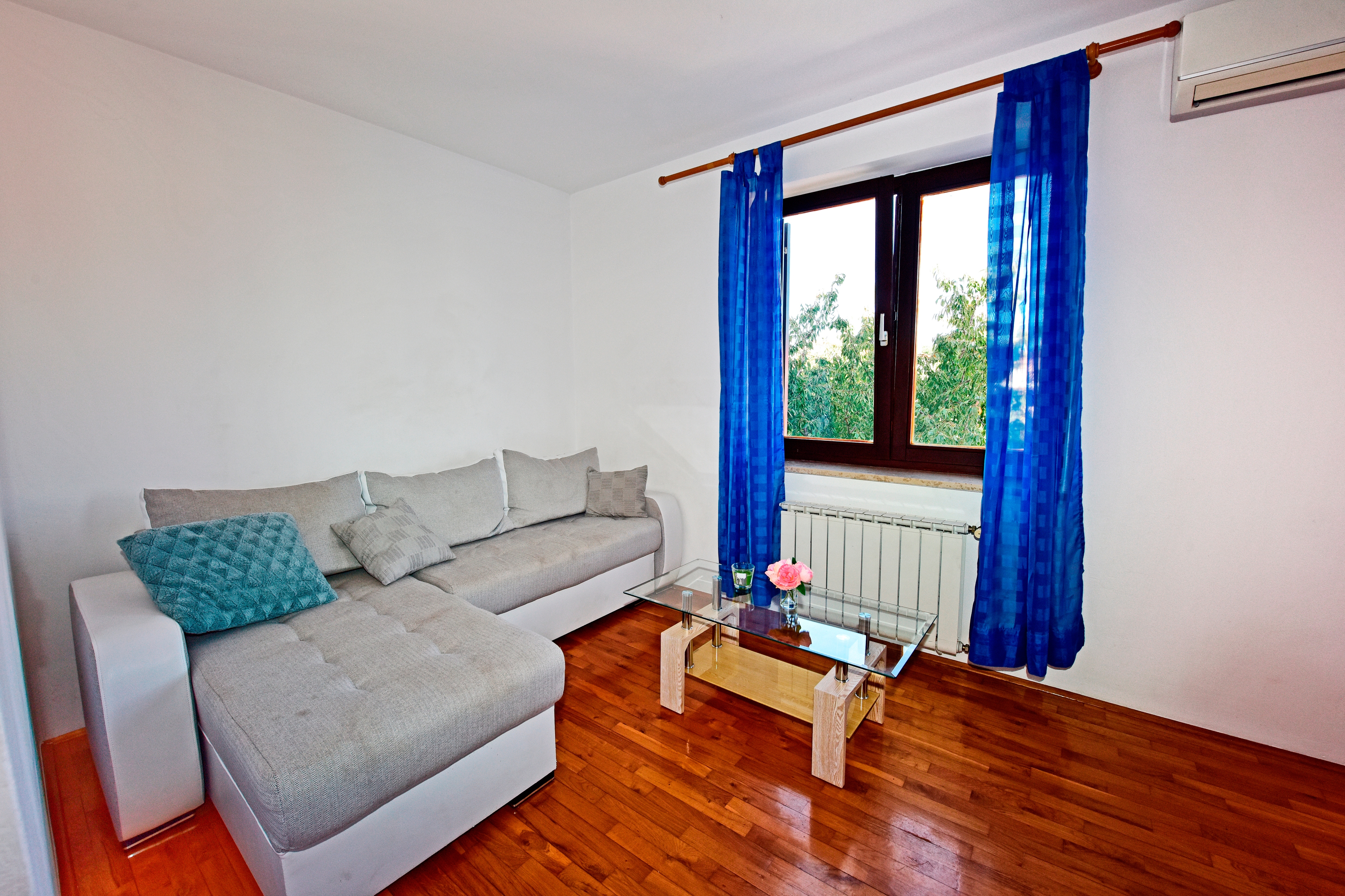 Top Novigrad Top Novigrad