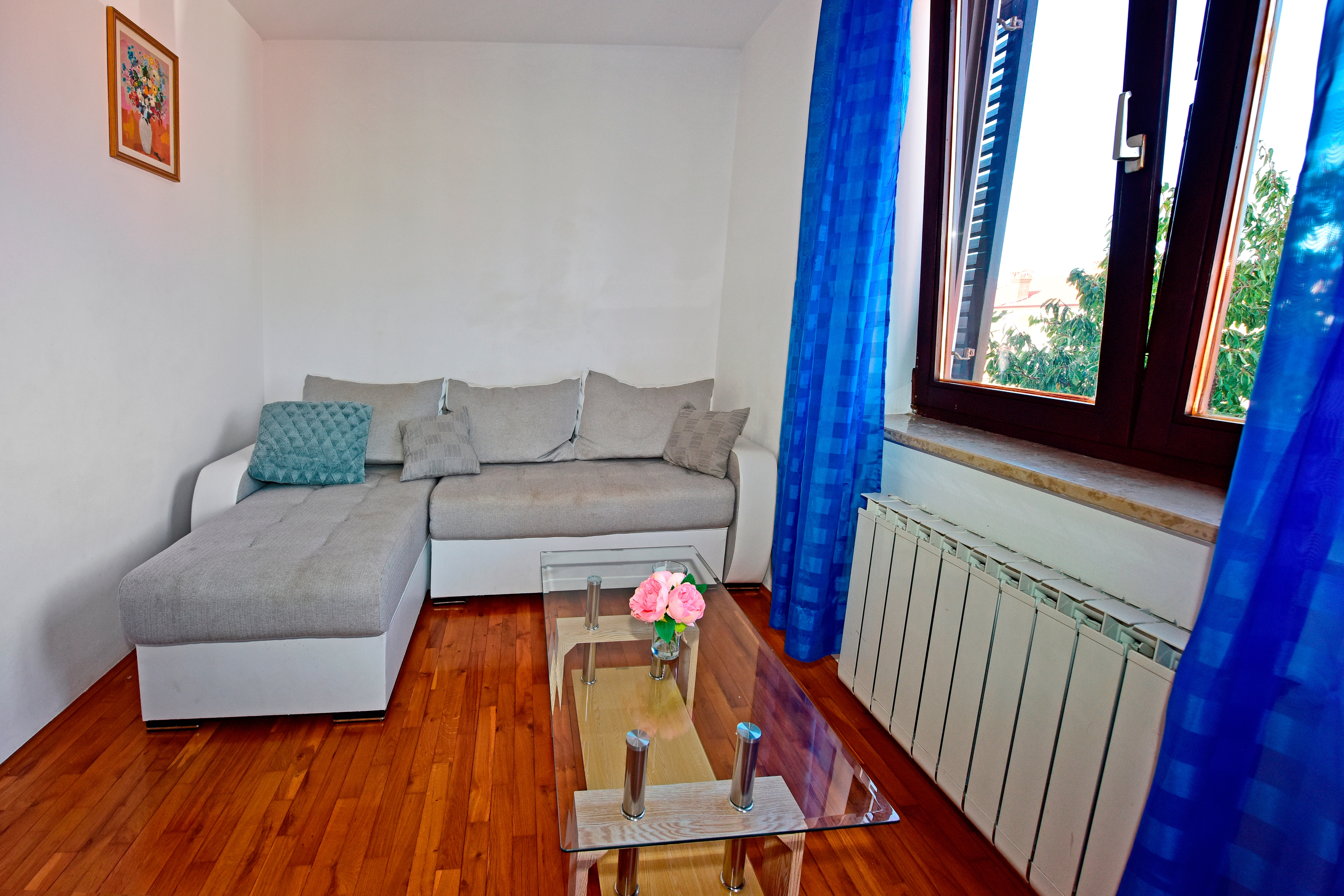 Top Novigrad Top Novigrad