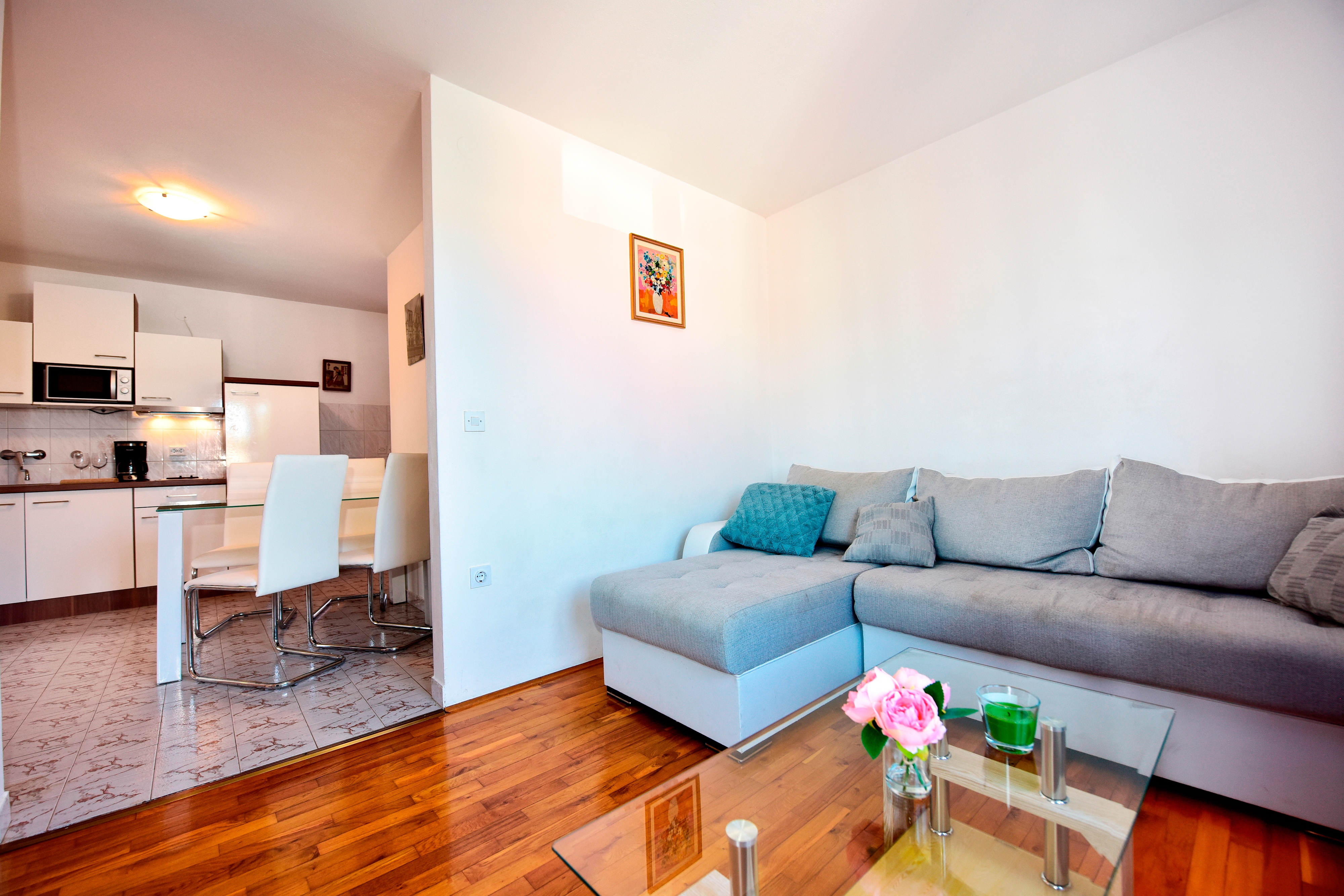 Top Novigrad Top Novigrad