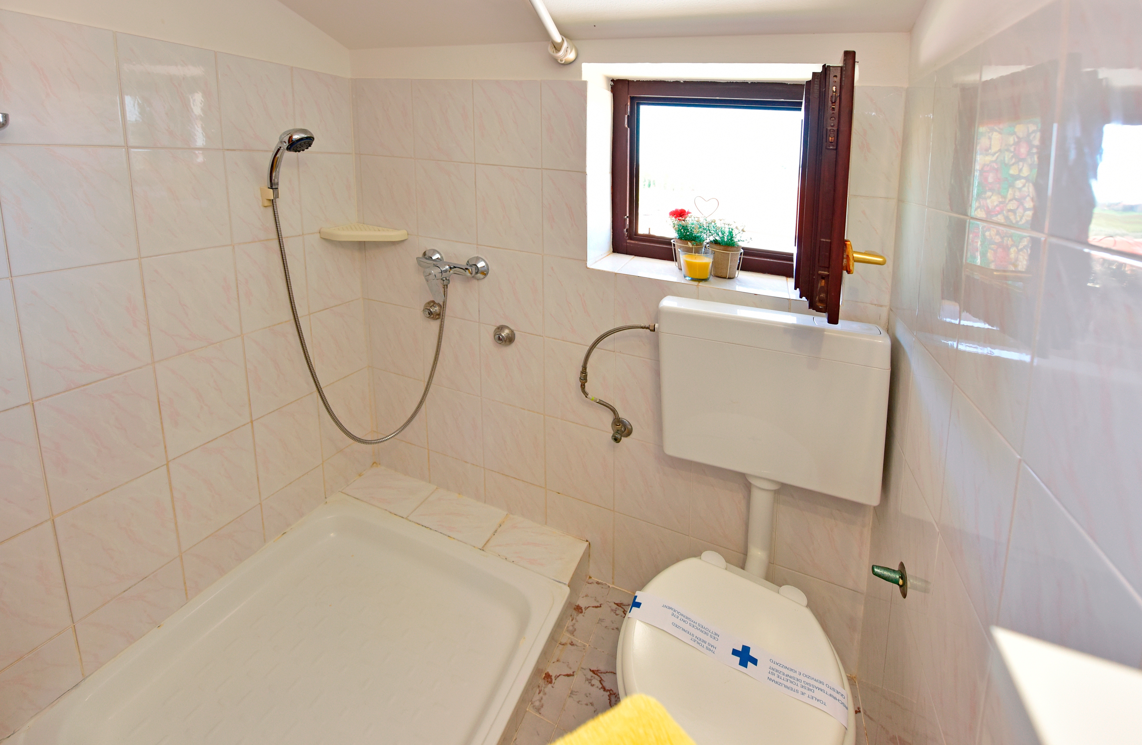 Room with terrace Novigrad  S-a