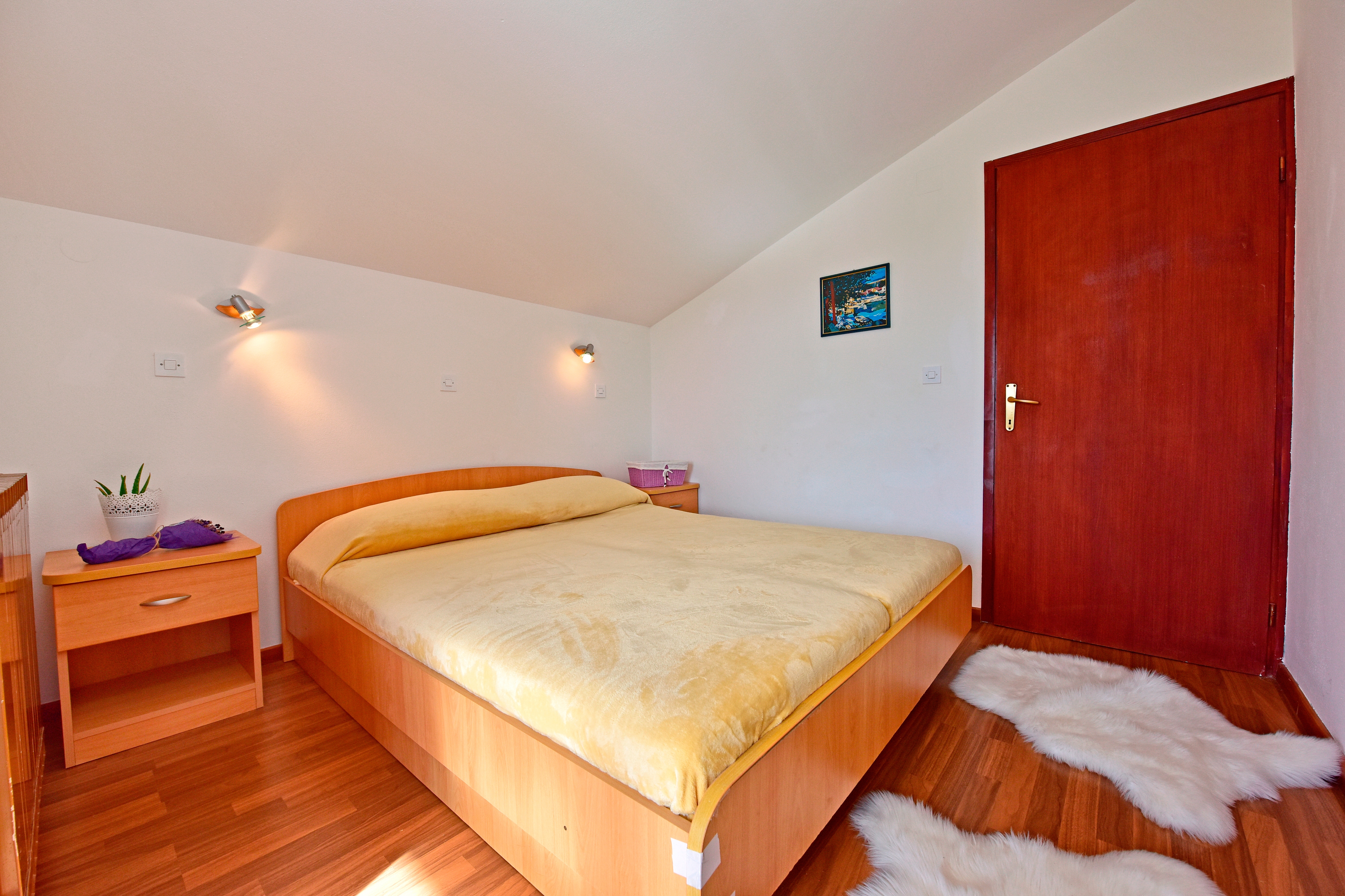 Top Novigrad Top Novigrad