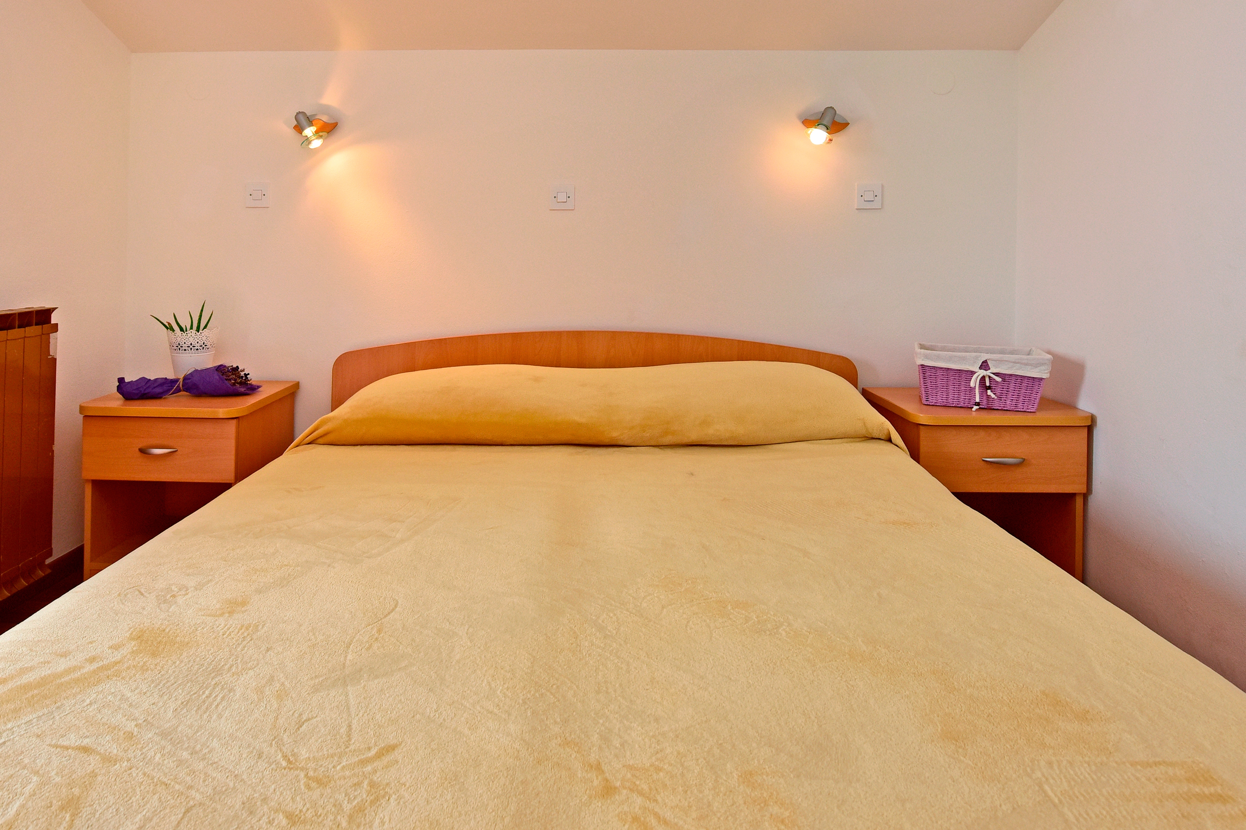 Top Novigrad Top Novigrad