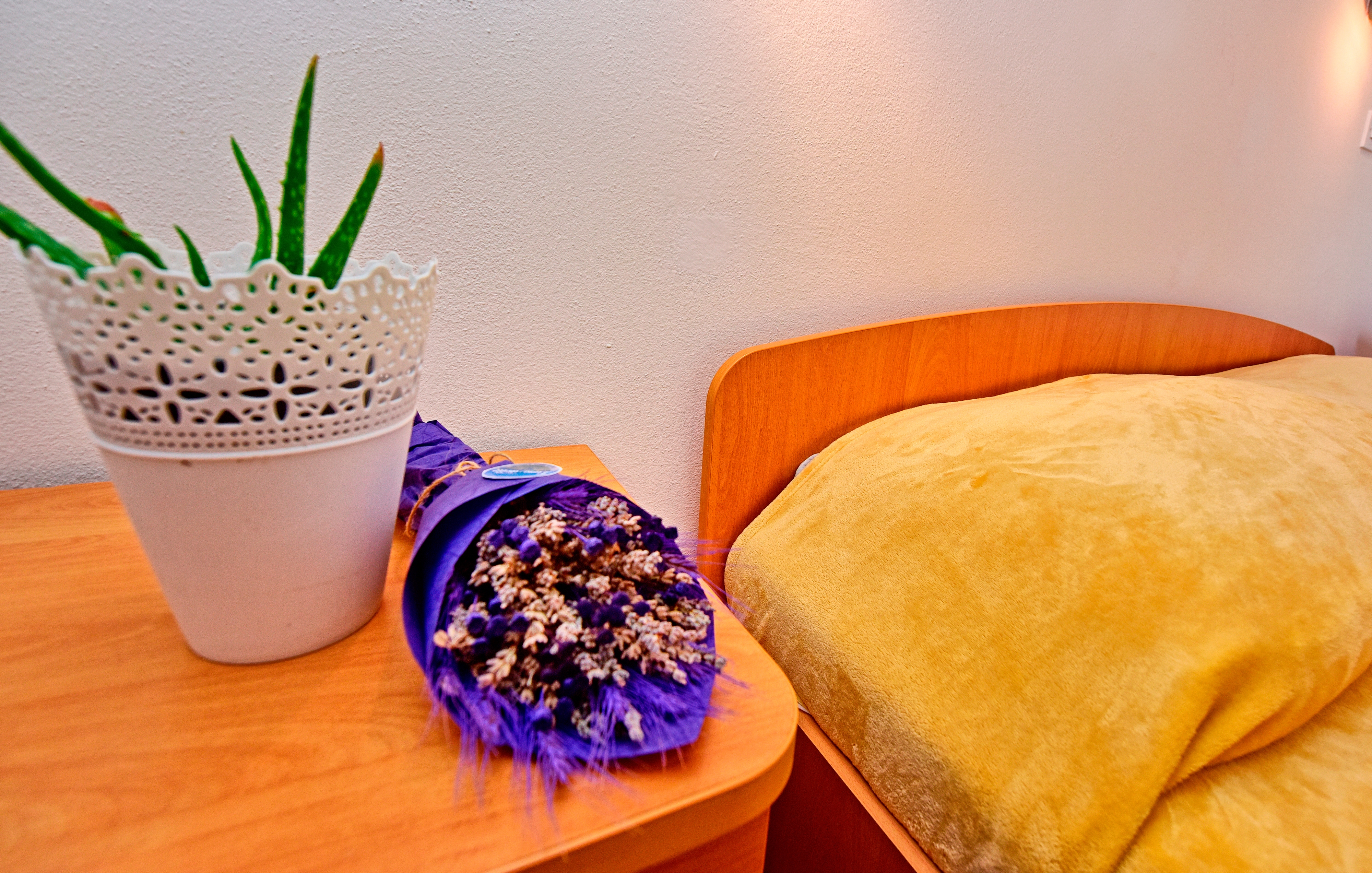 Top Novigrad Top Novigrad