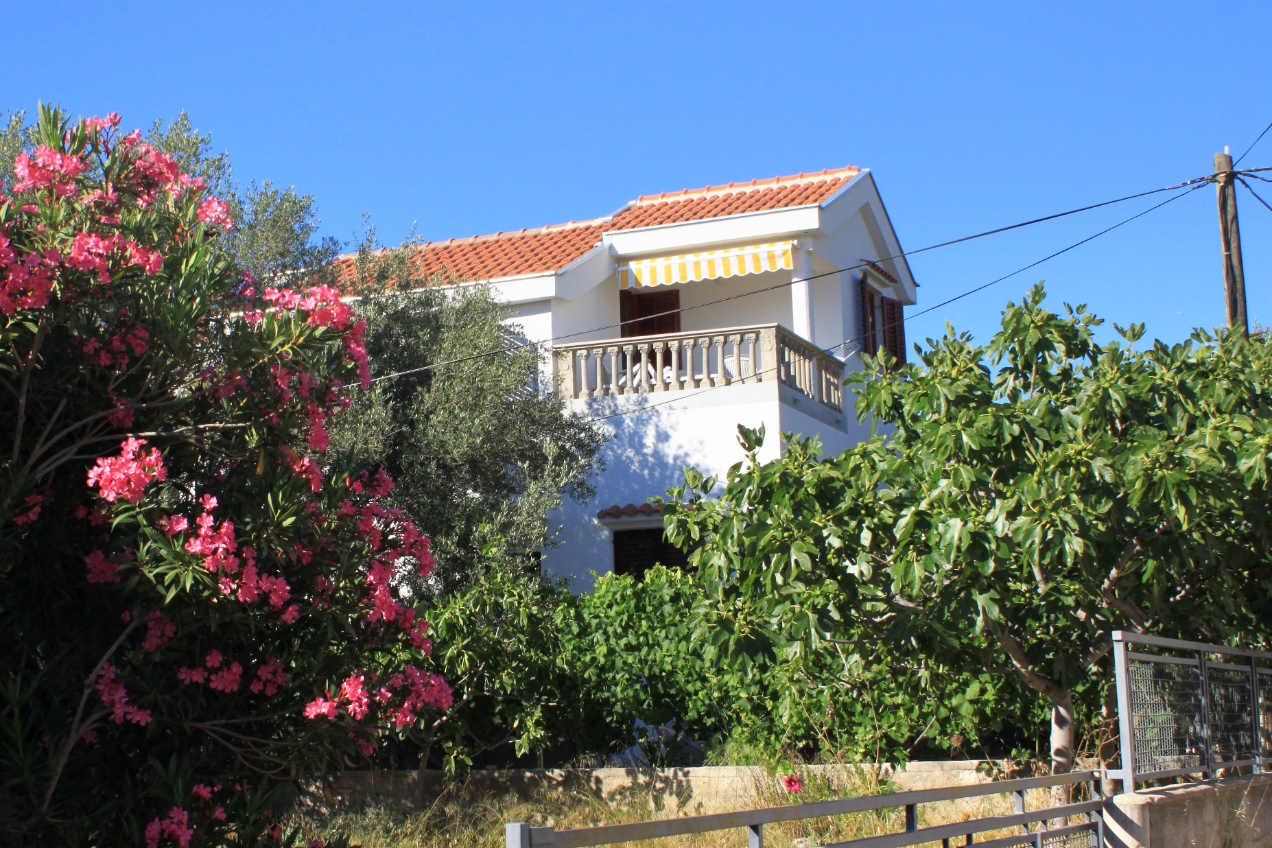 Top Pašman Ždrelac Top Pašman Ždrelac